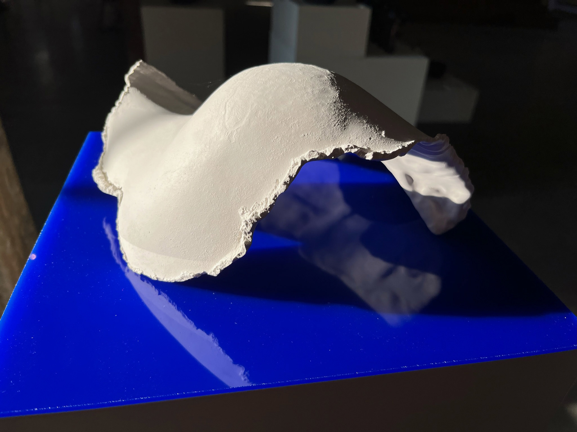 Lene Bach-Lauritsen, Distant Shores | Shell Pieces, Shell Piece # 01.13