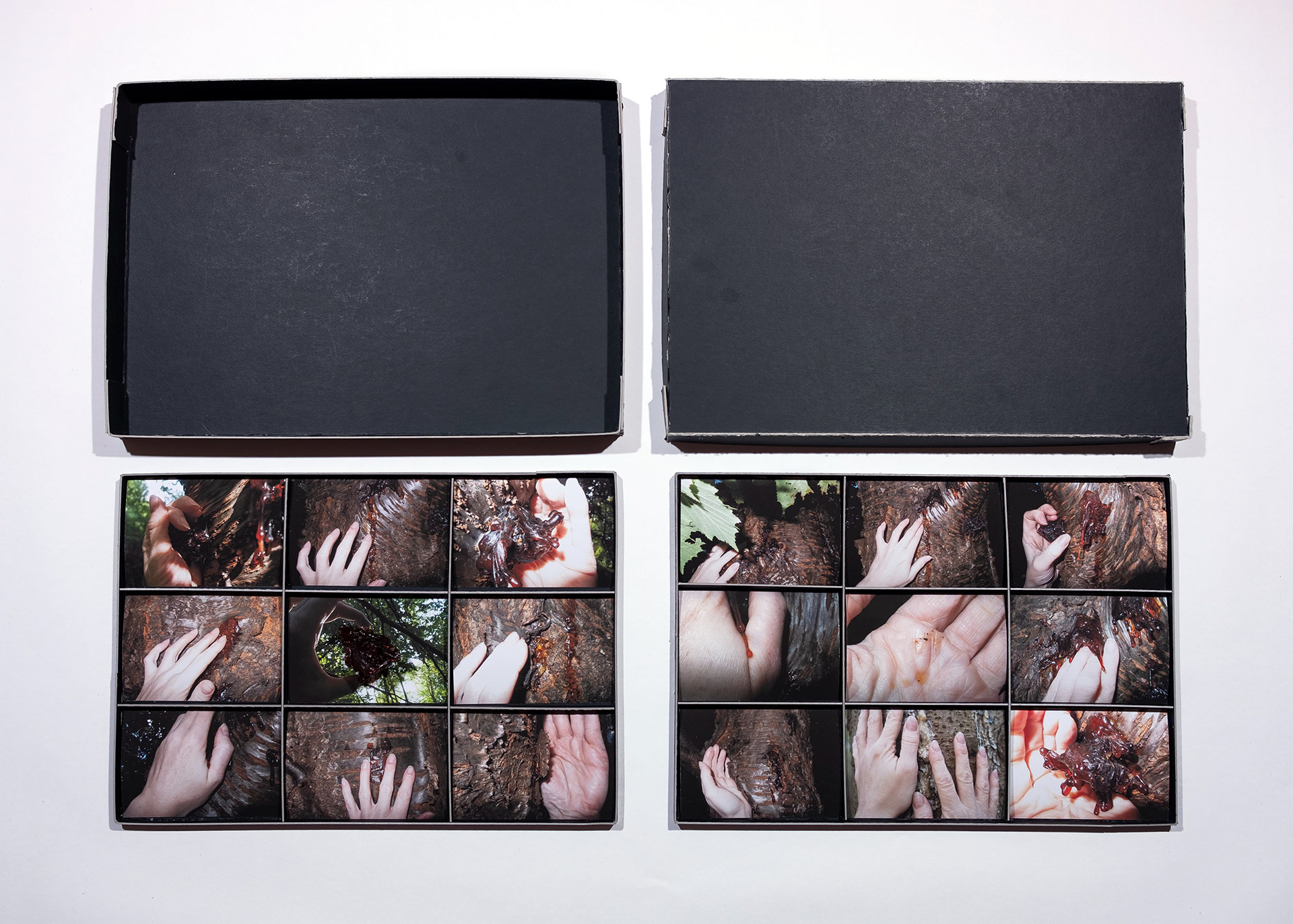 Lene Bach-Lauritsen - Photograhy Mixed Media - To feel what it really was (2018). Cardboard, pigment on print, resin. 42,2 x 29 x 3,5 cm.