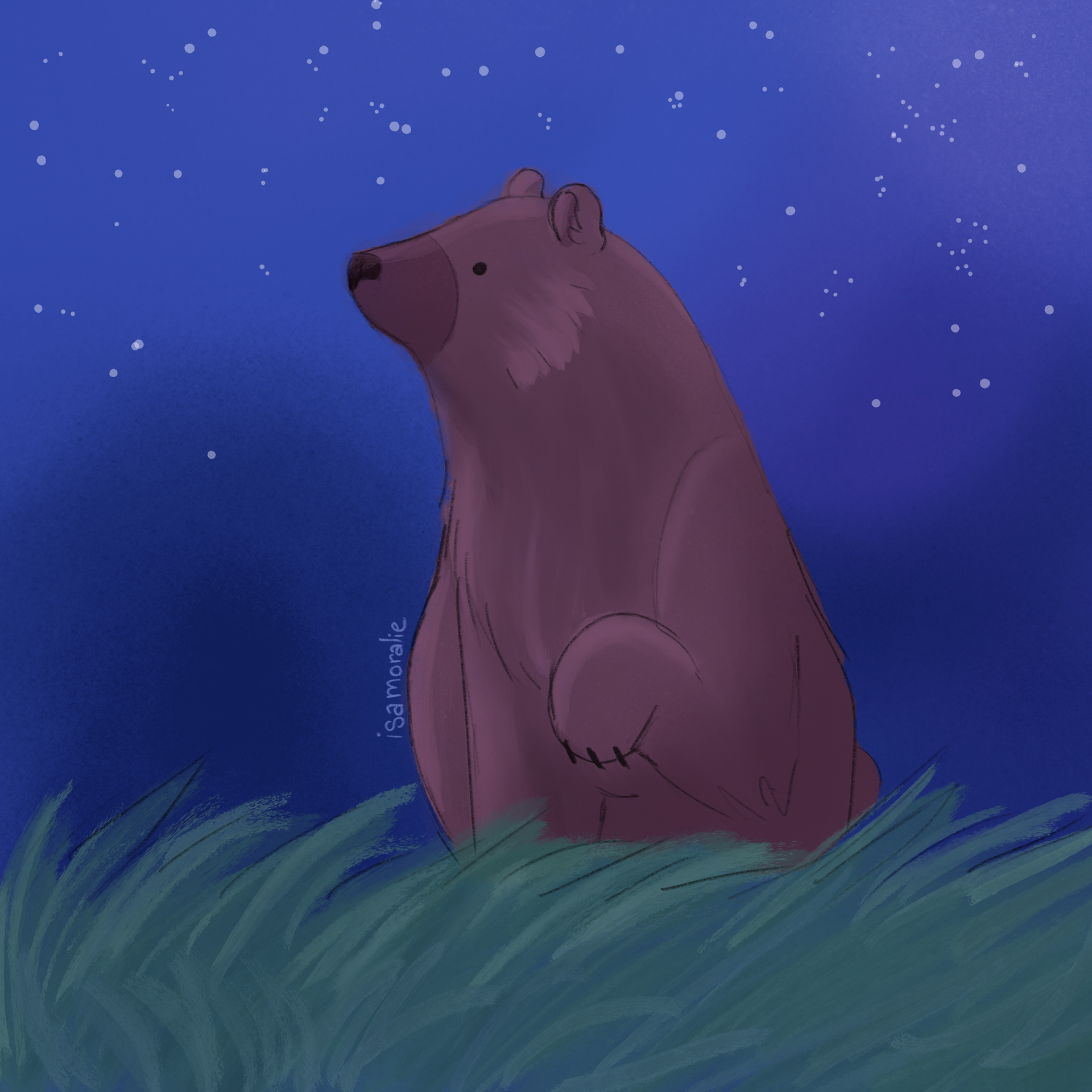 "Little Bear"
