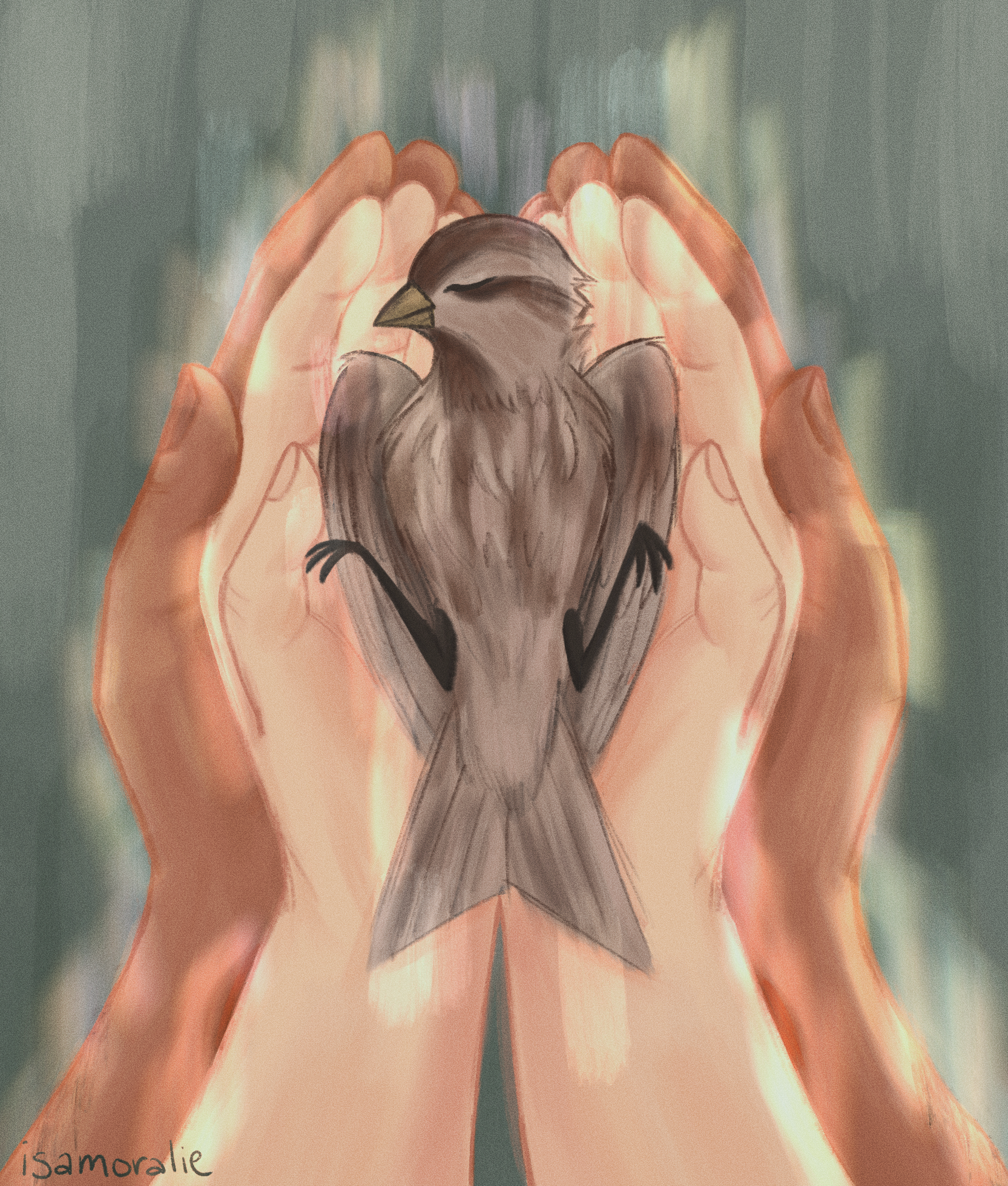 "The Sparrow"