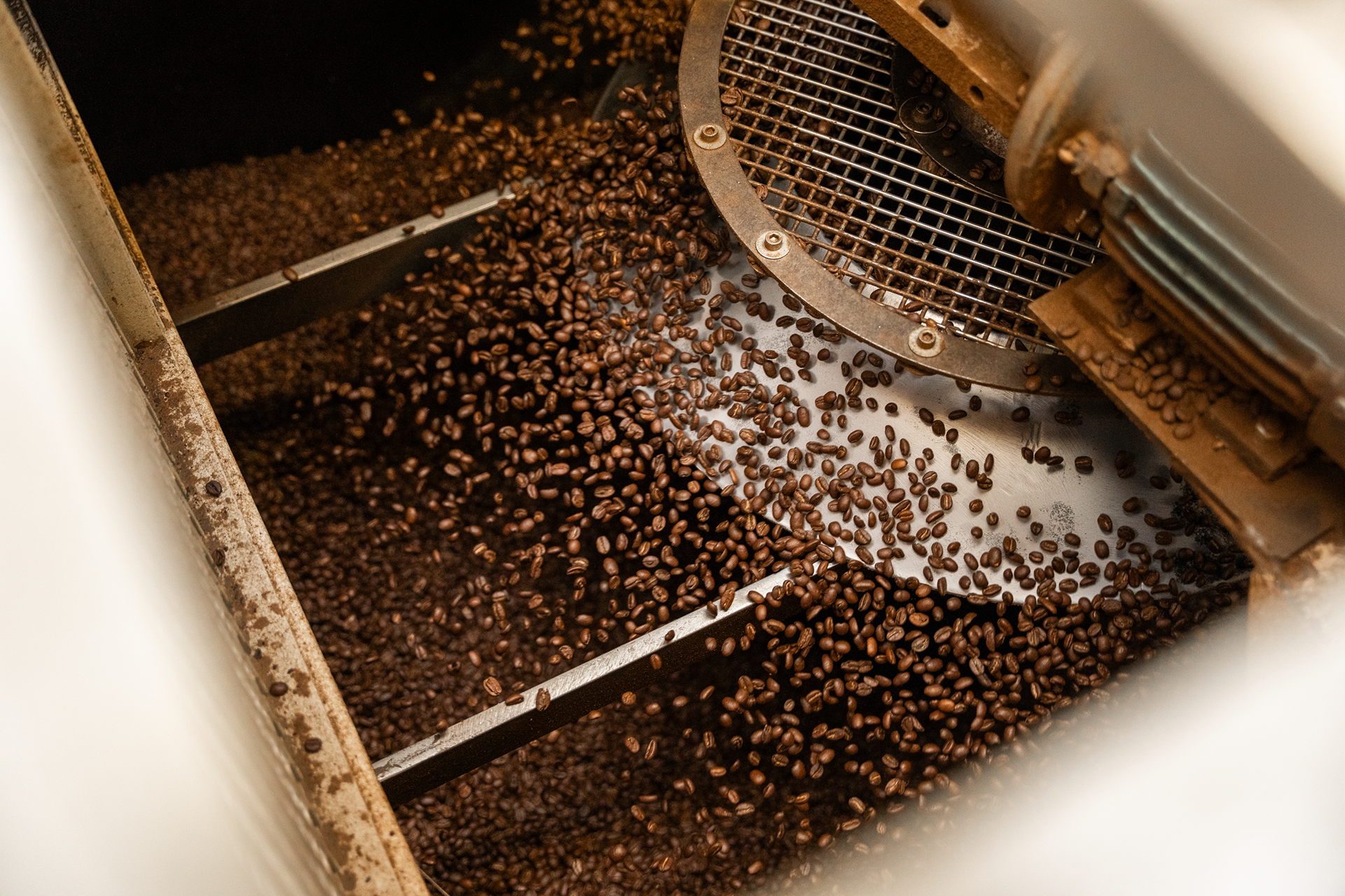 Shot for Collab Coffee