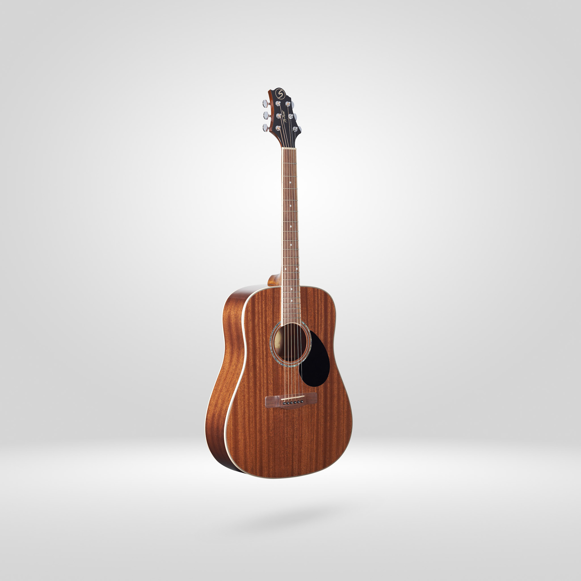 Greg Bennet Guitar