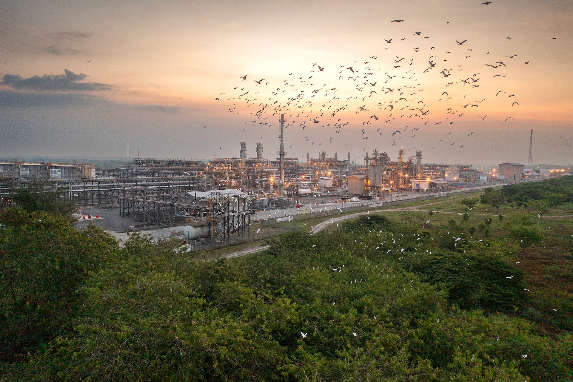 ExxonMobil Cepu Limited