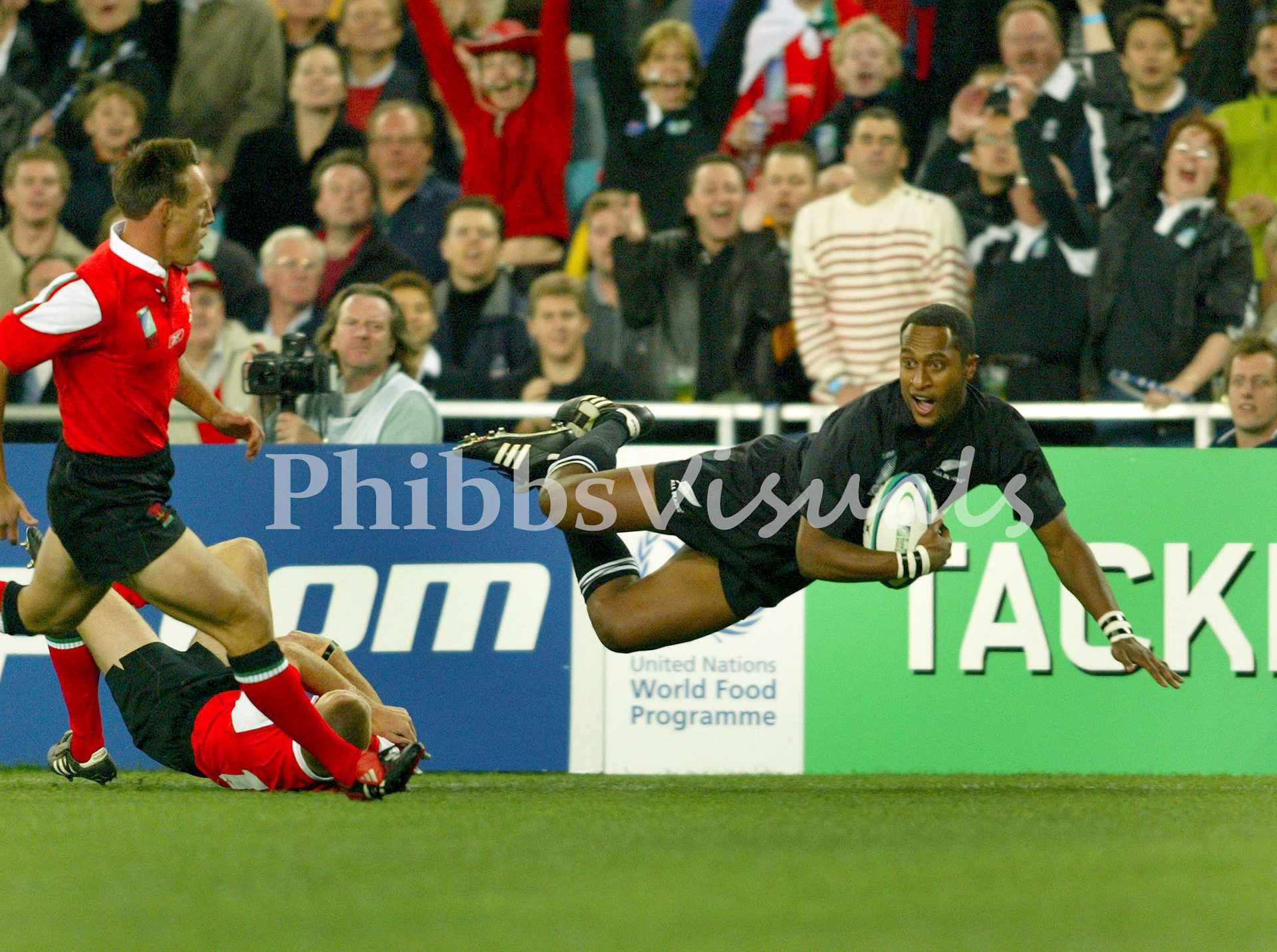 Rugby World Cup 2011, New Zealand