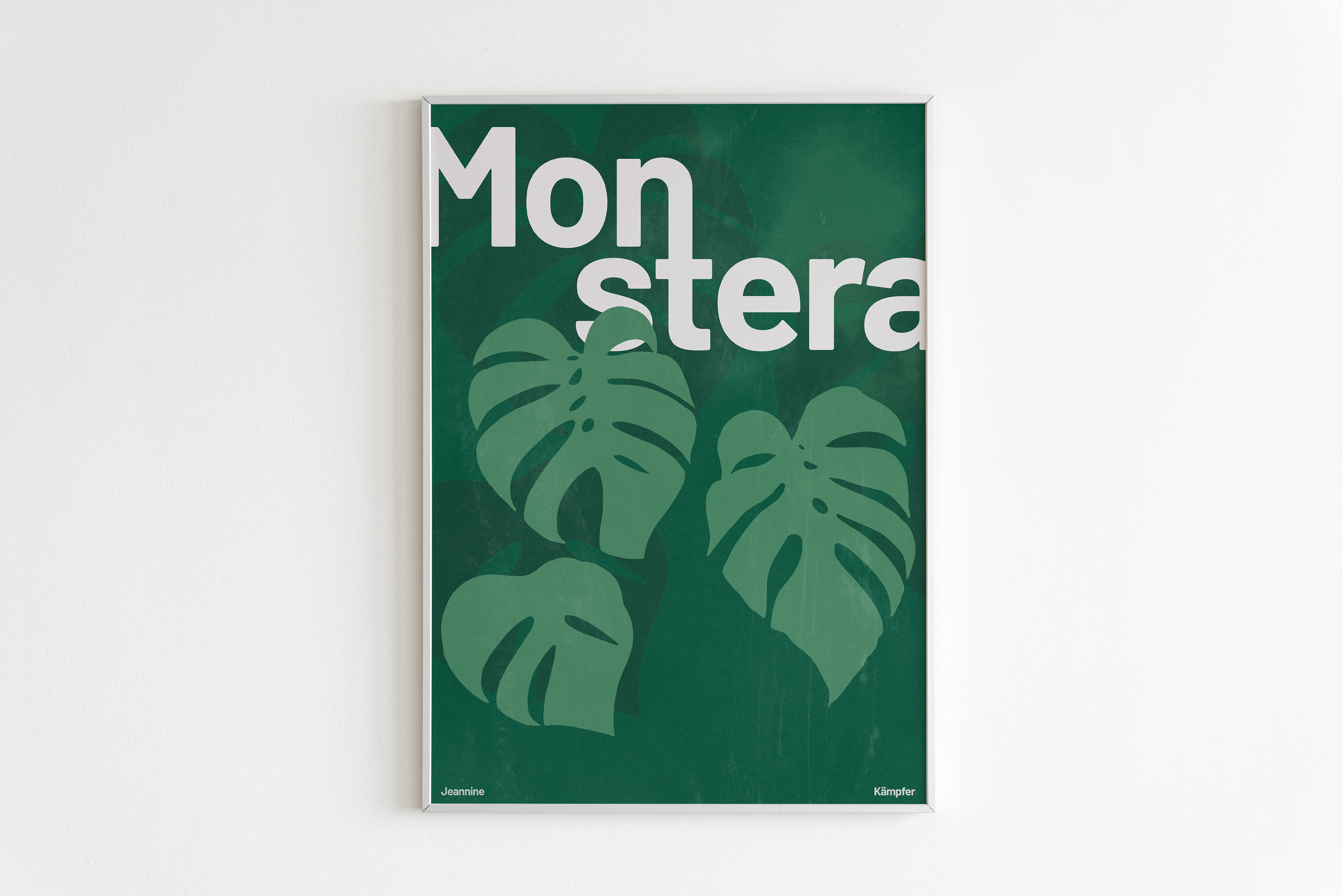 Monstera