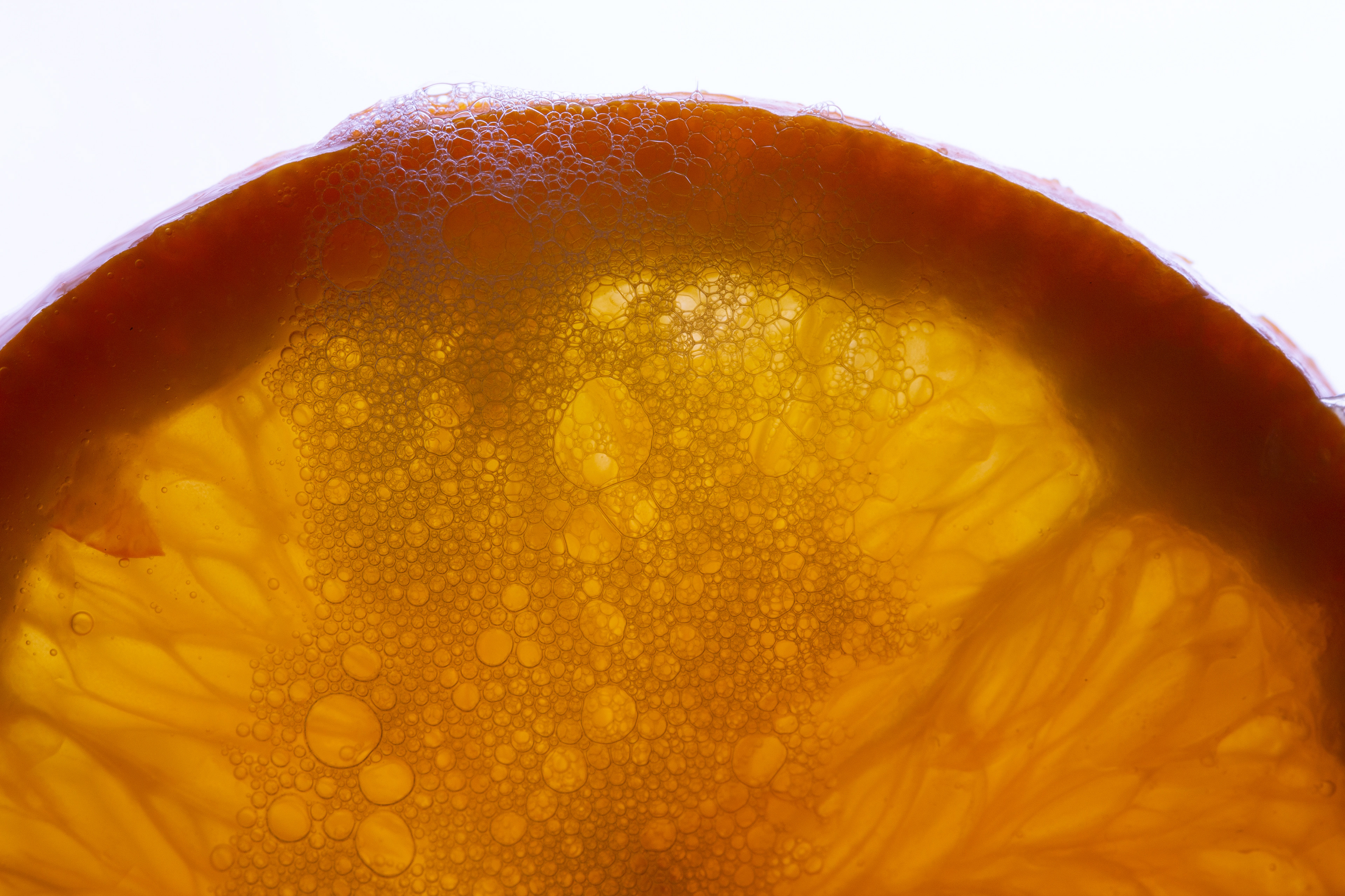 Macro Photography, 2021