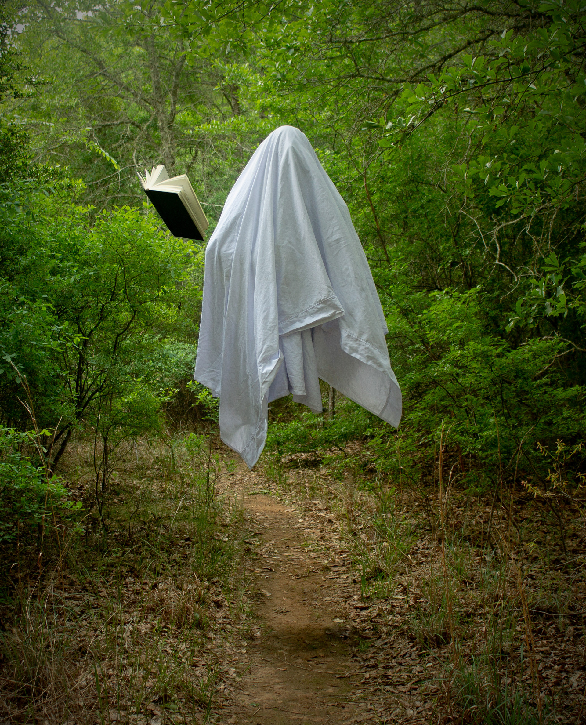 Ghost Story (Photoshop), 2021