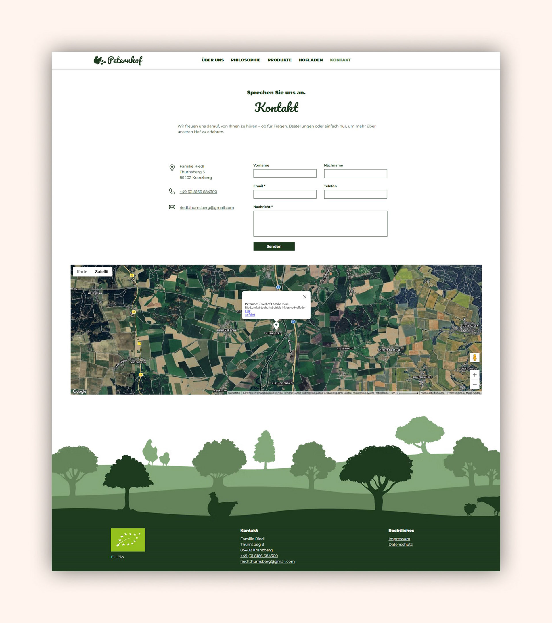 Website design