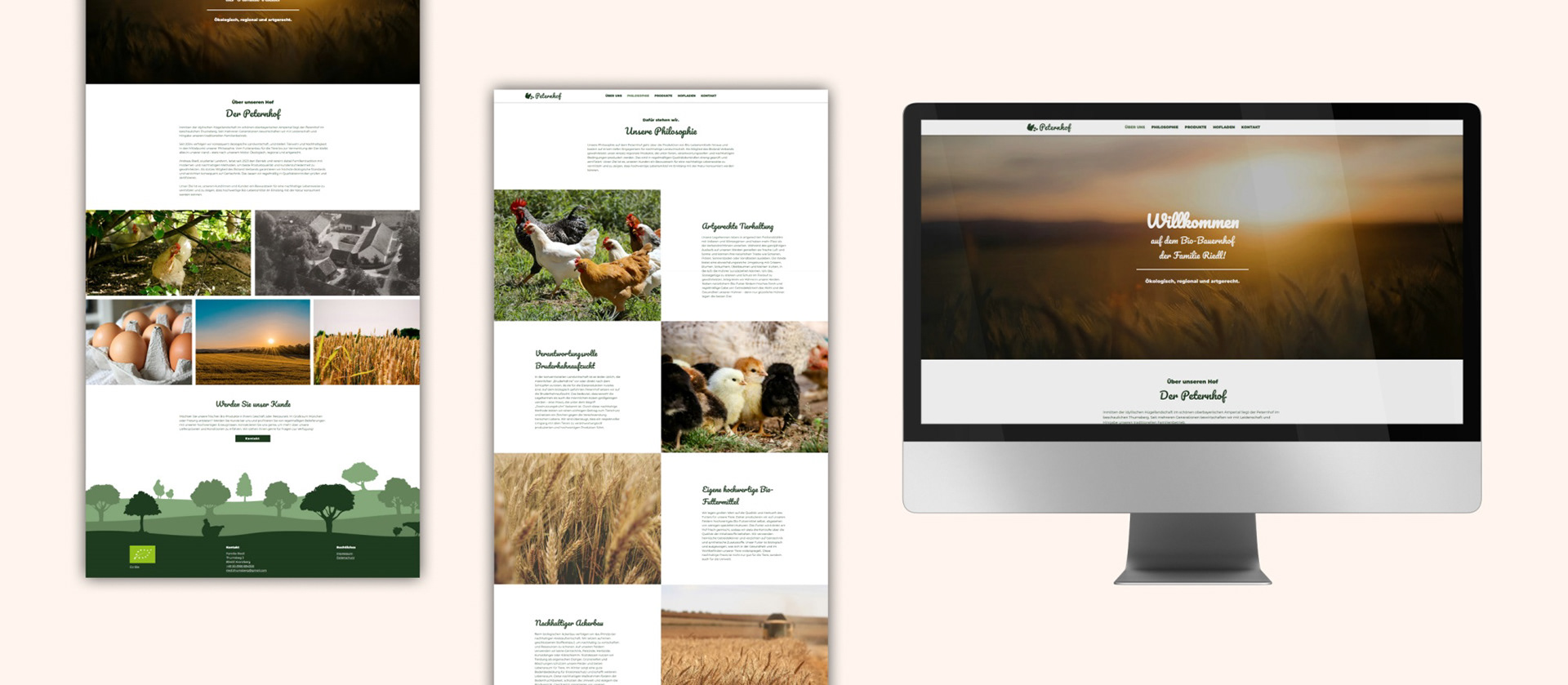 Website design