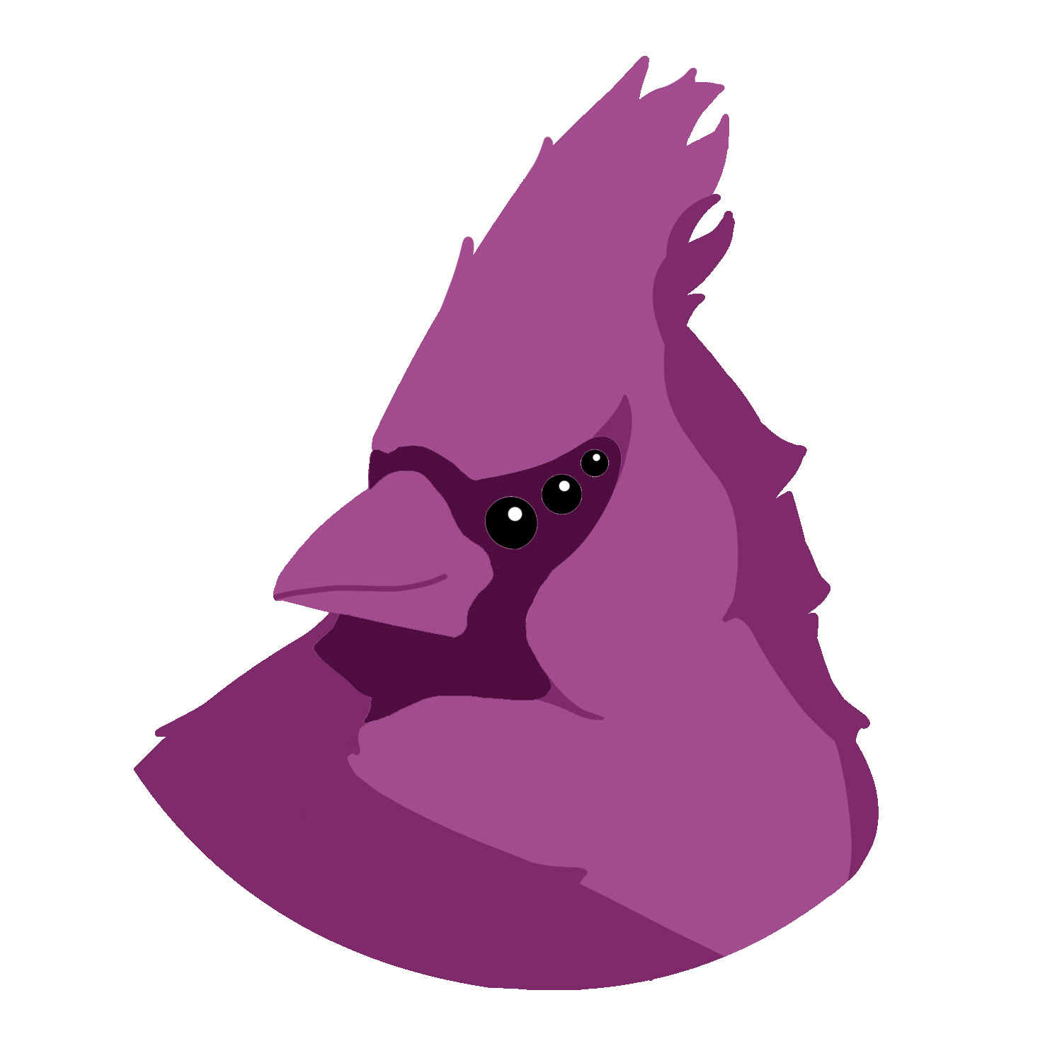 Smith the BIRD