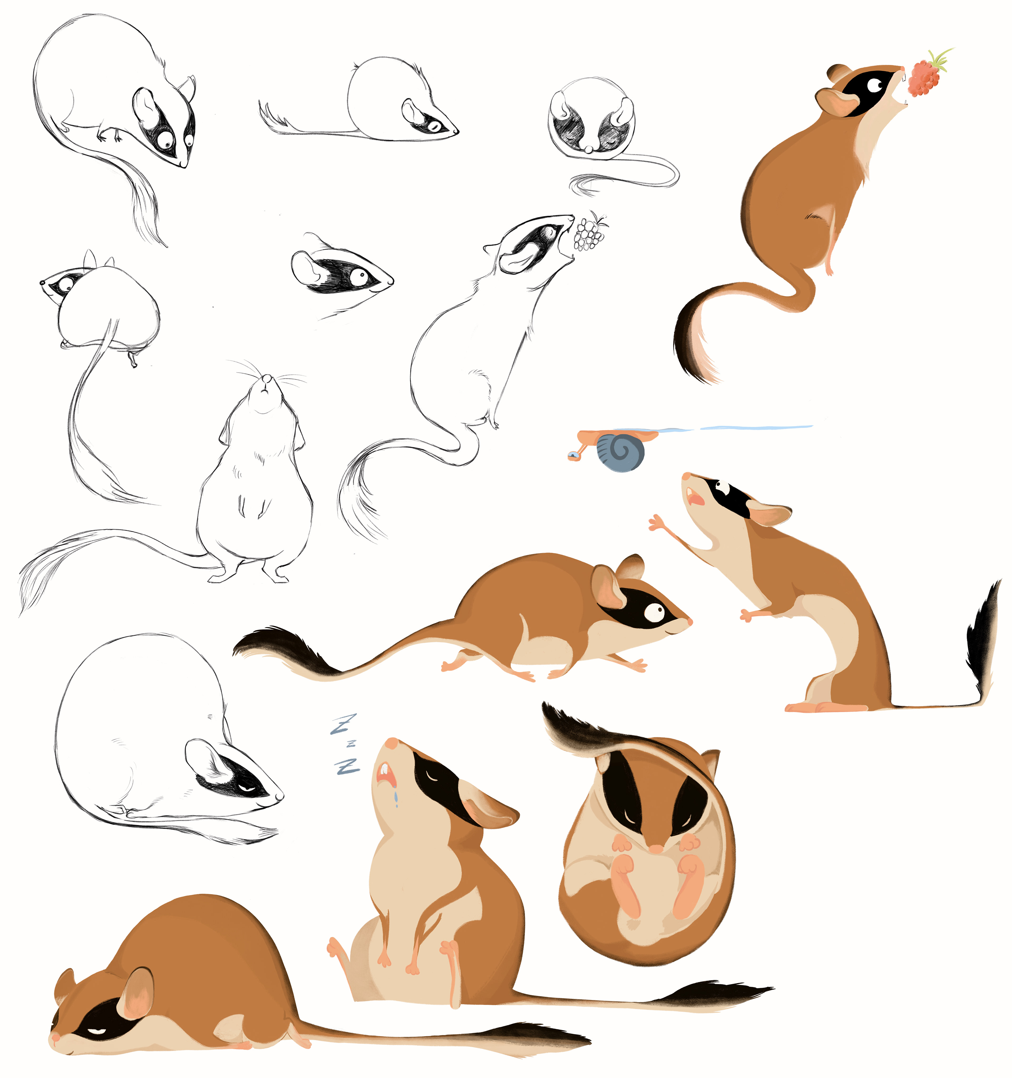 Gartenschläfer Skizzen und Illustrationen die verschiedene Mimik und Gestik aufzeigen. 