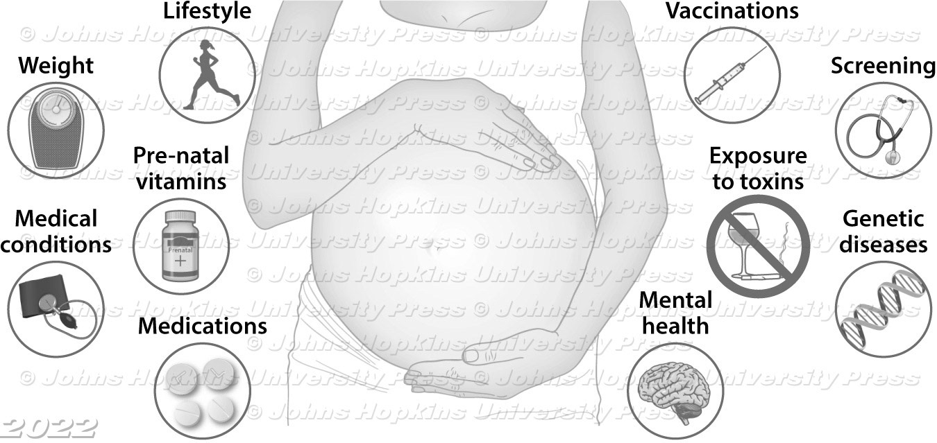 Factors that influence pregnancy