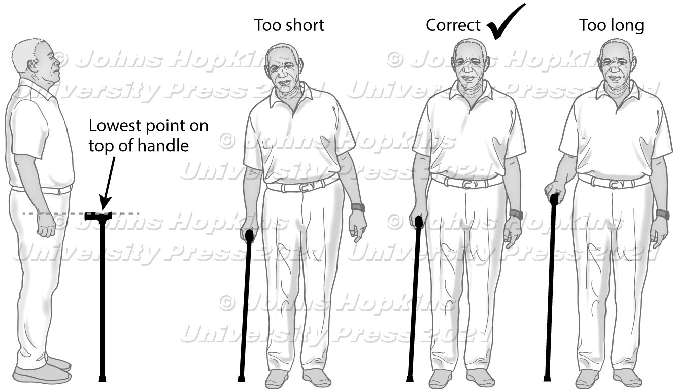 Correct cane length