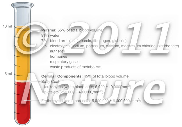 Blood components percentages