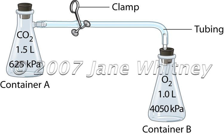 Flasks, clamp and tubing
