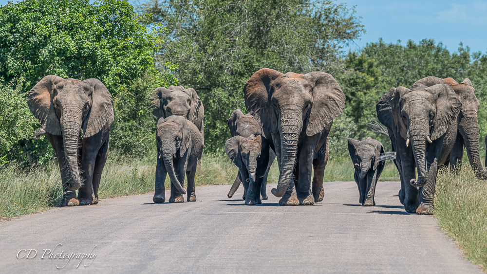 Kruger National Park