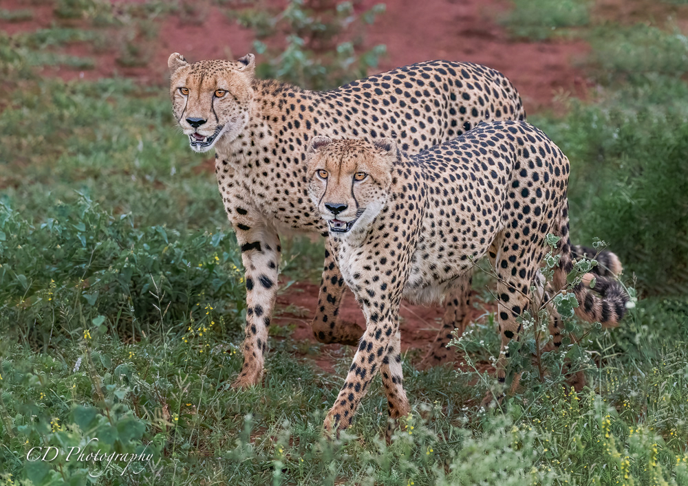Kruger National Park