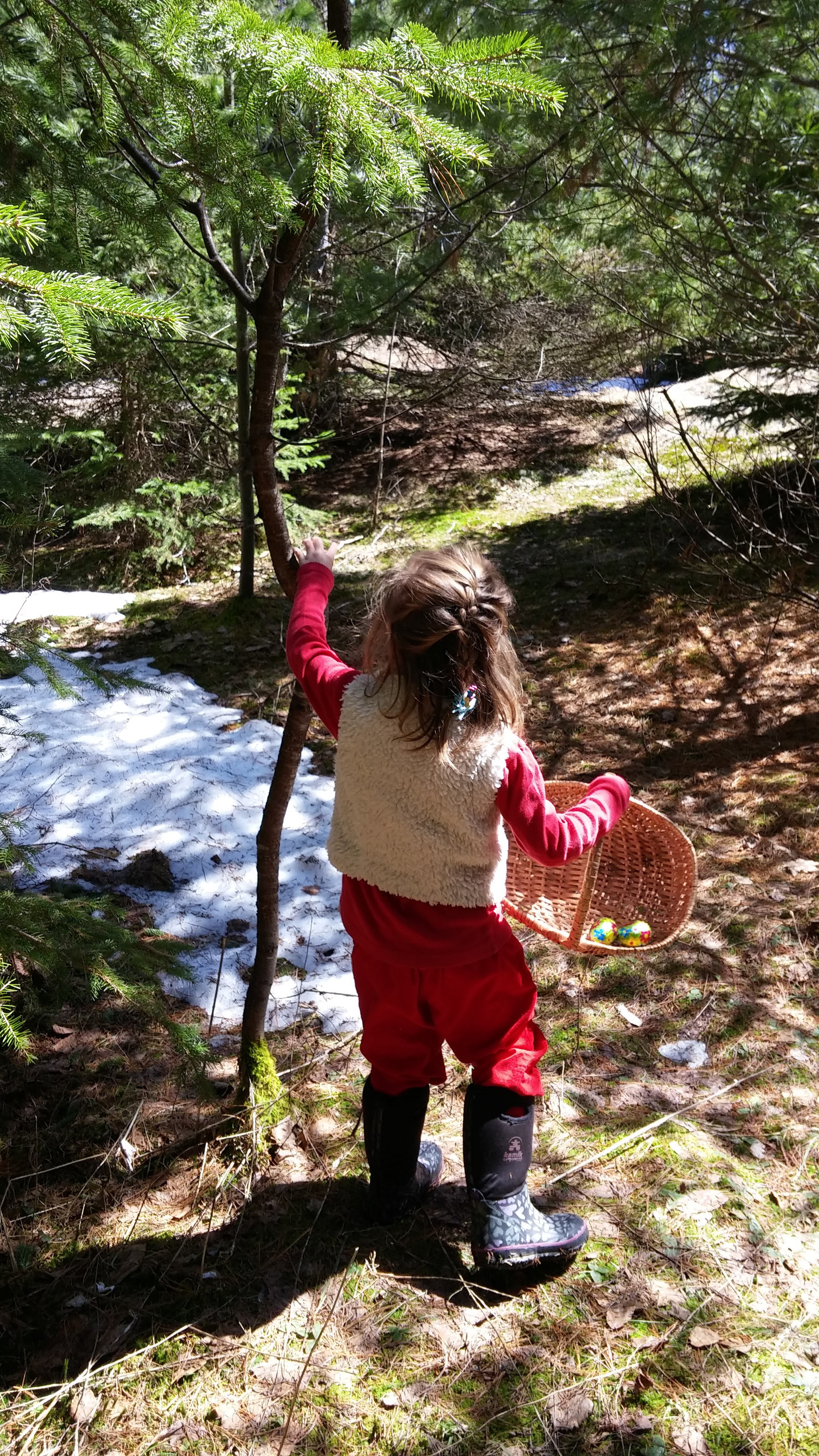 Birchbark & Stardust Inspiration