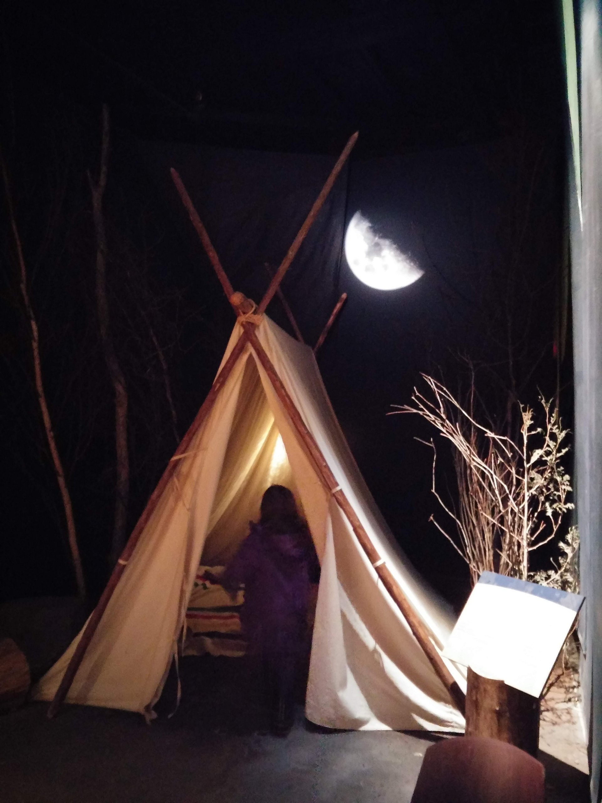Birchbark & Stardust Inspiration