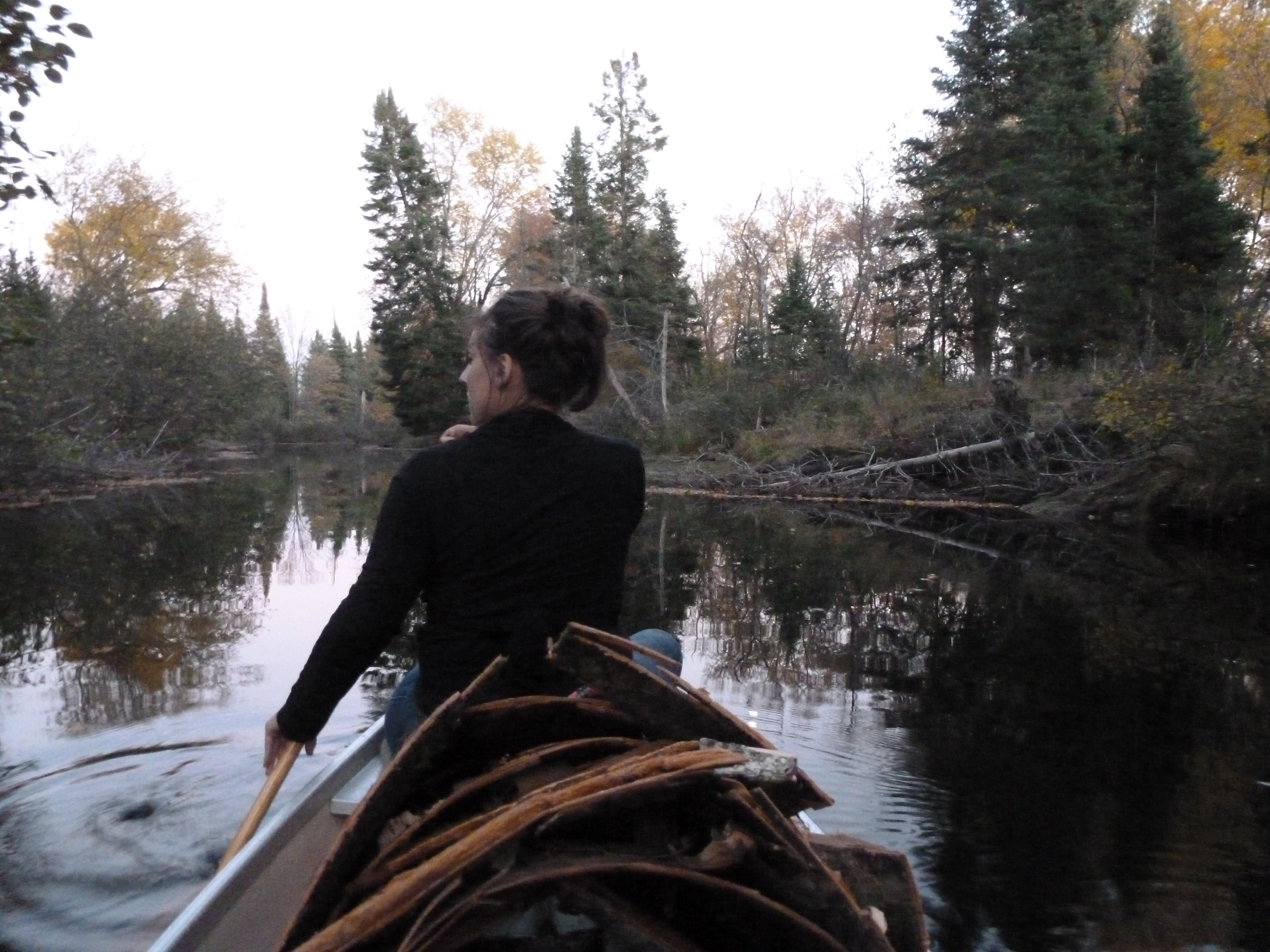 Birchbark & Stardust Inspiration