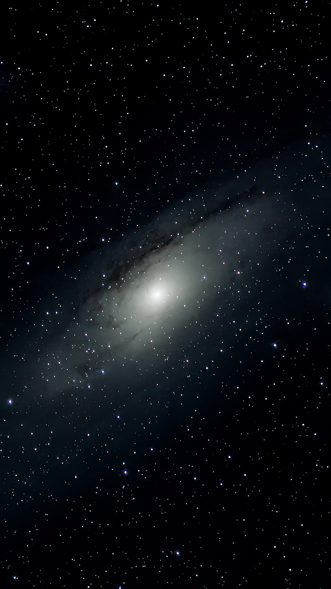 M 31