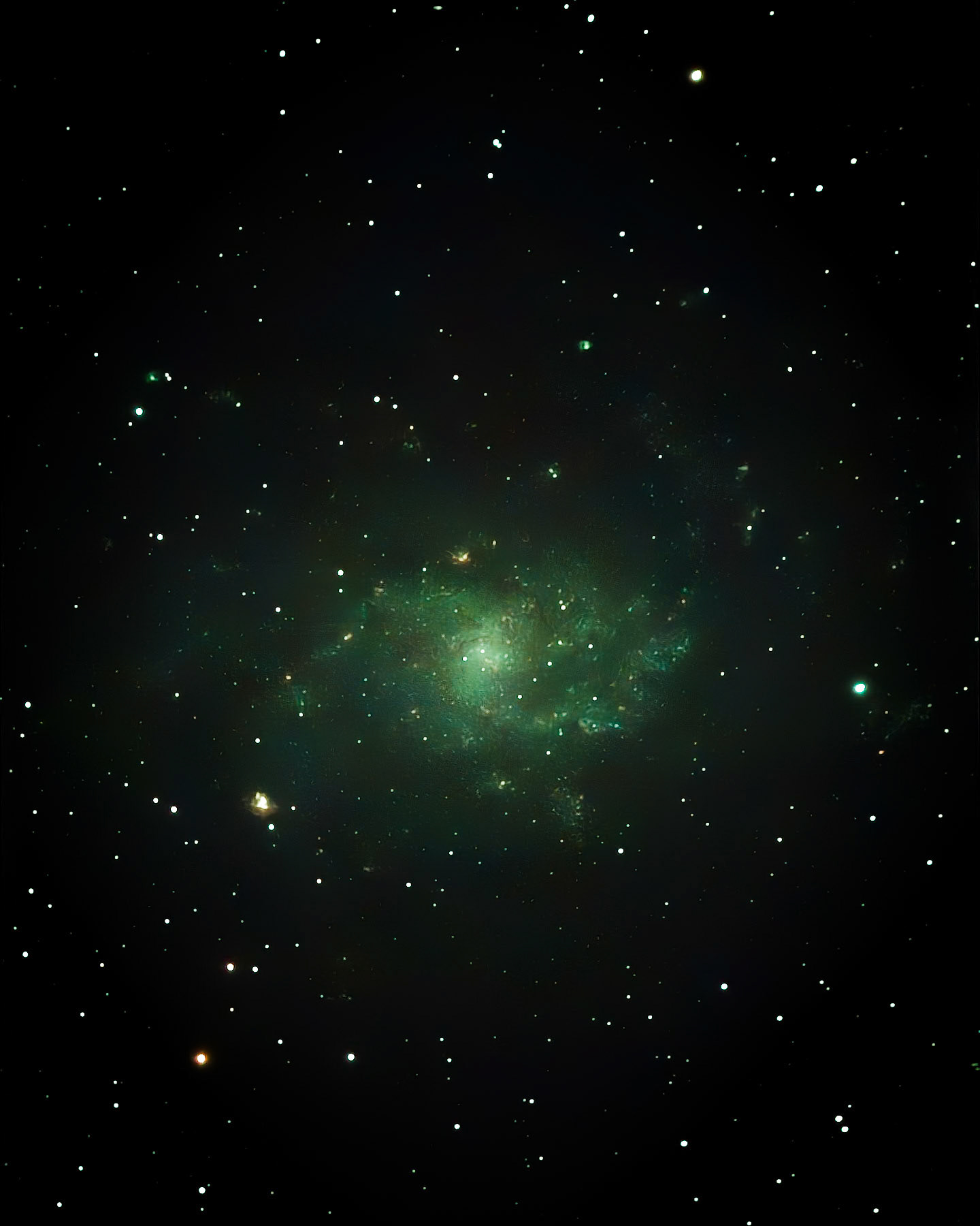 M 33