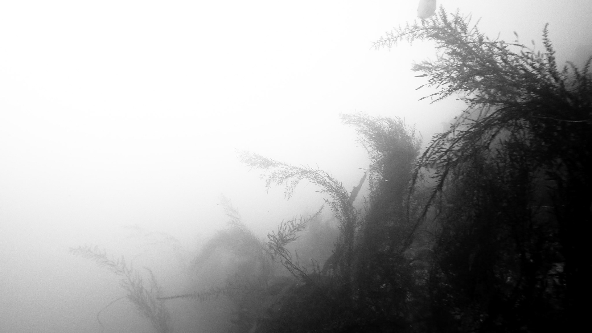 DCIM\100GOPRO\G0010971.