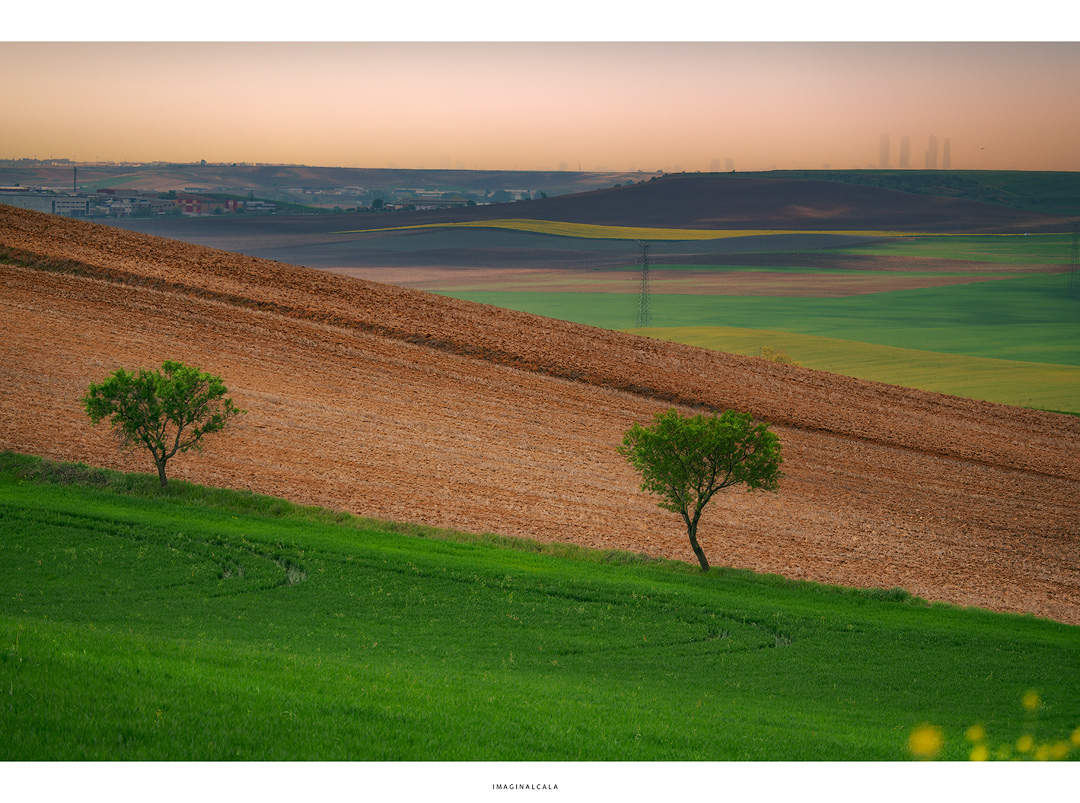 CAMPOS DE MADRID A CUATRO TORRES