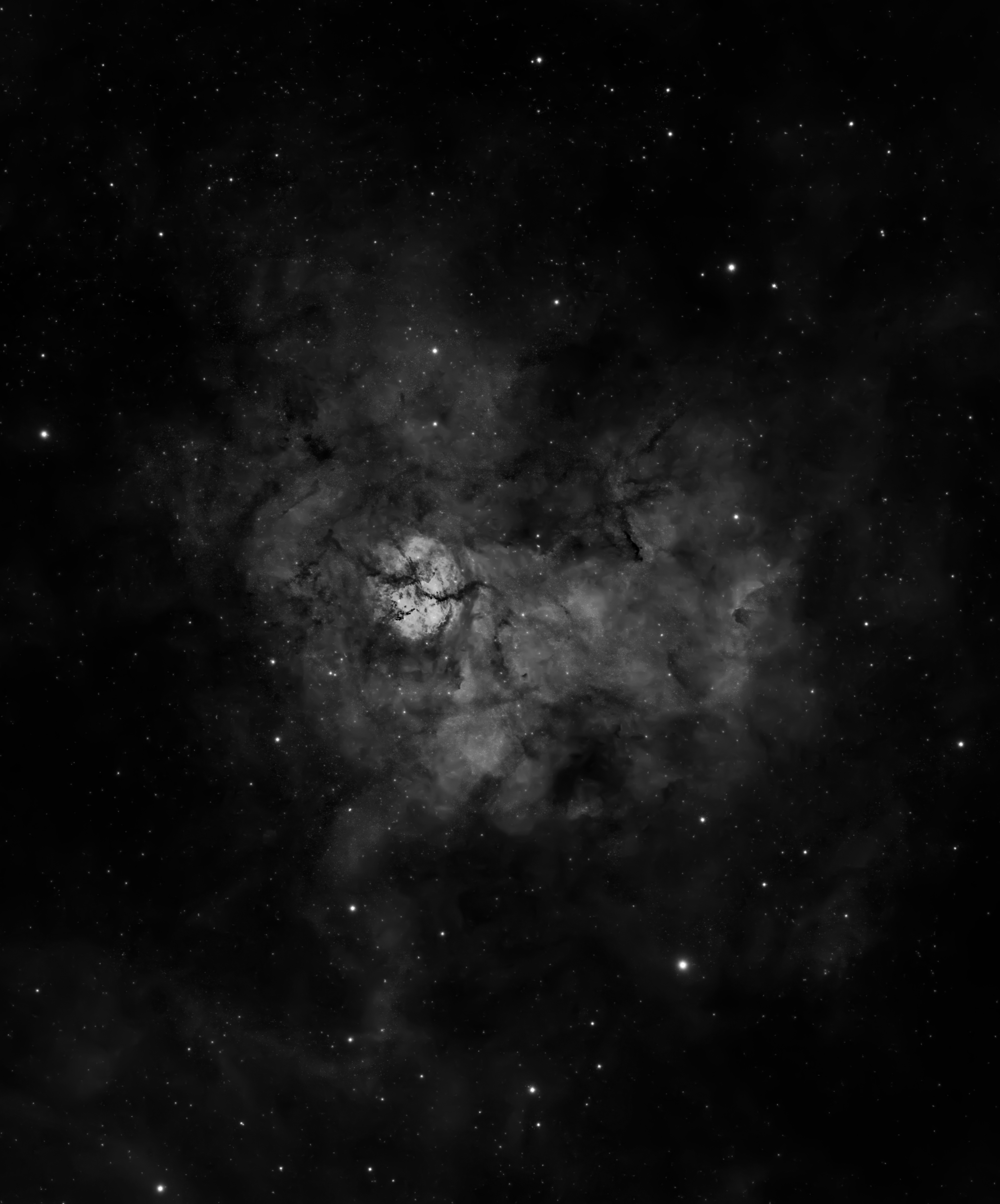 SH2-124 EN MONOCROMO pag 316