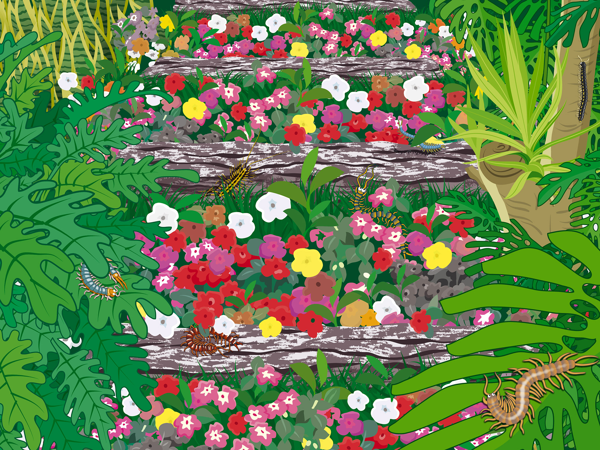 Internal Spread | Centipede