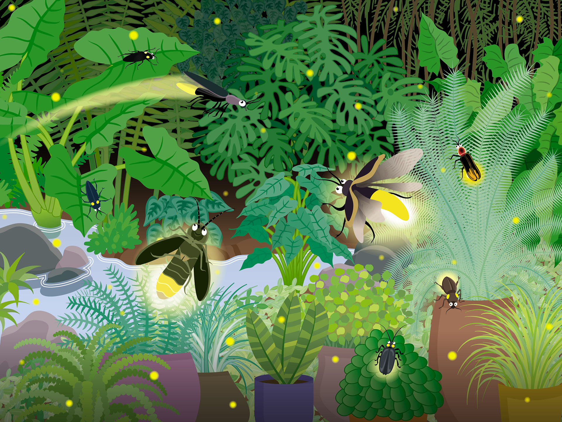 Internal Spread | Firefly