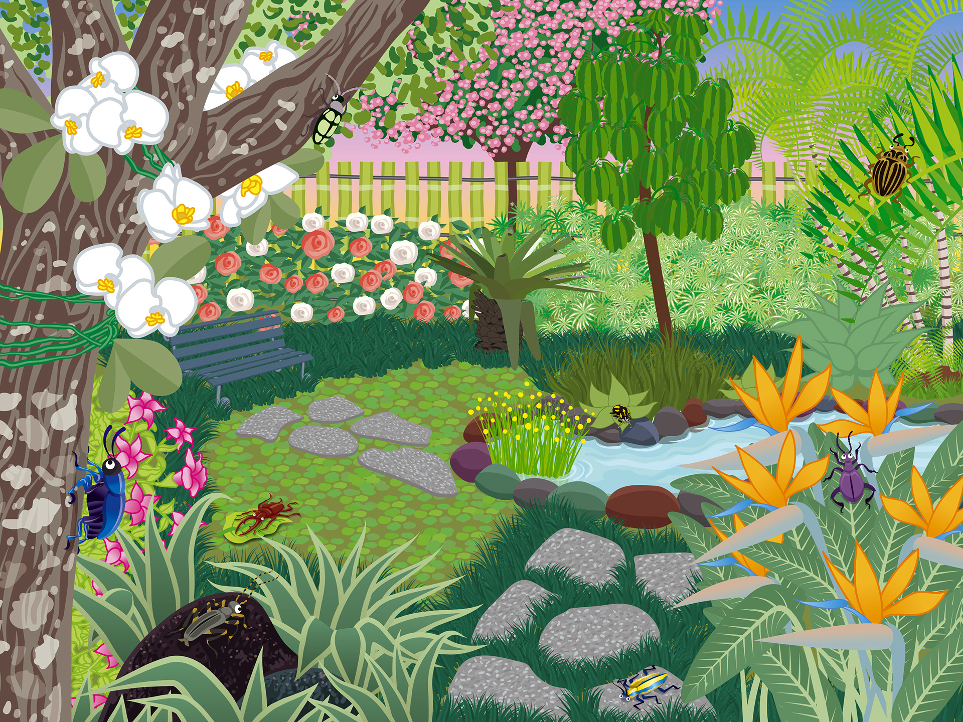 Internal Spread | Beetle