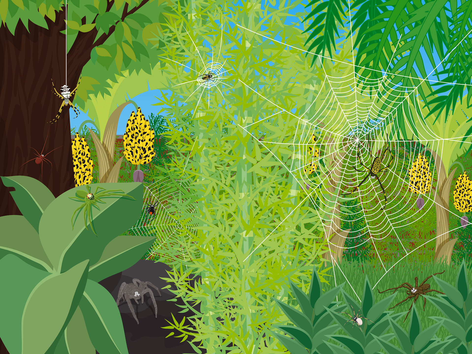 Internal Spread | Spider