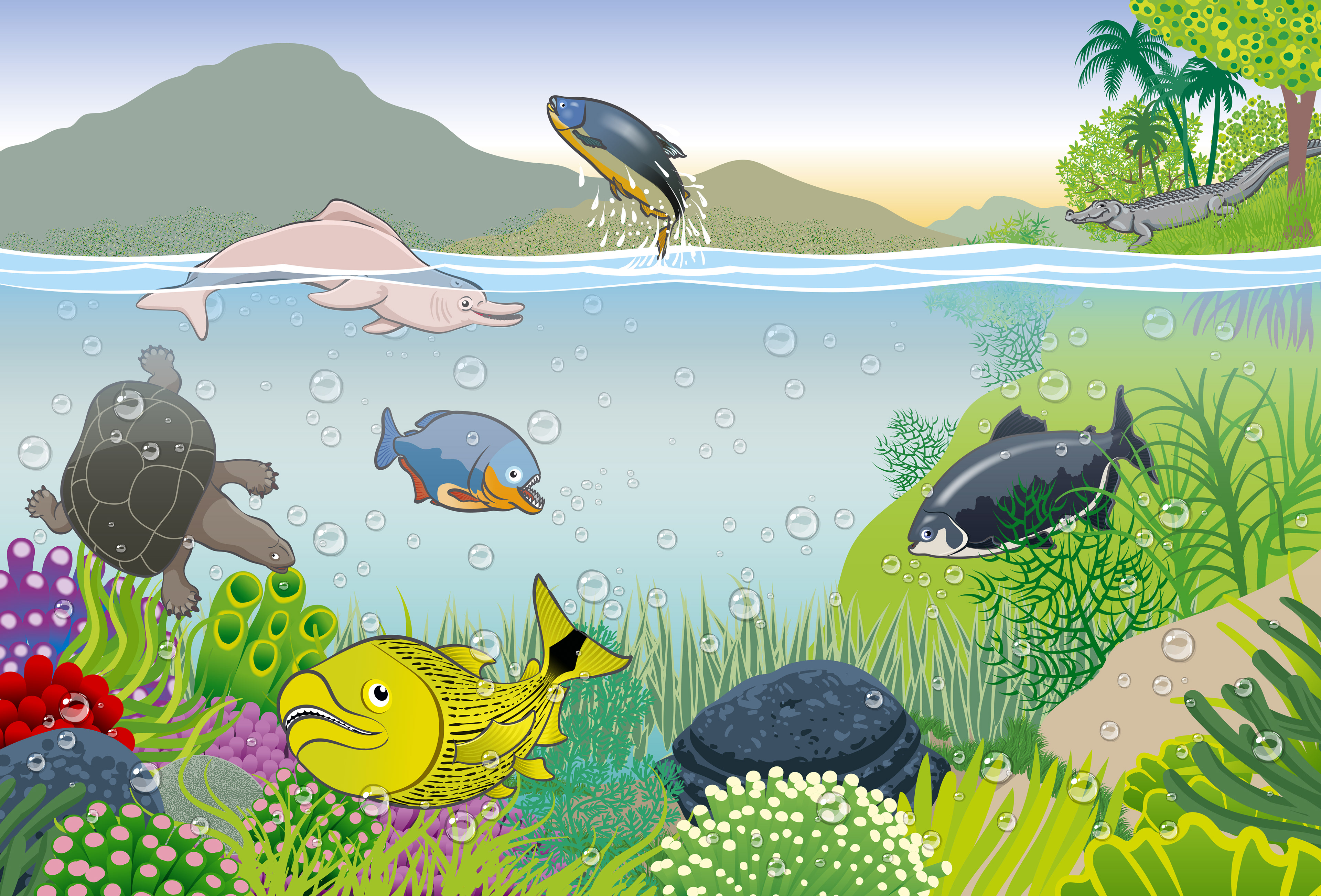 Illustration for the river section