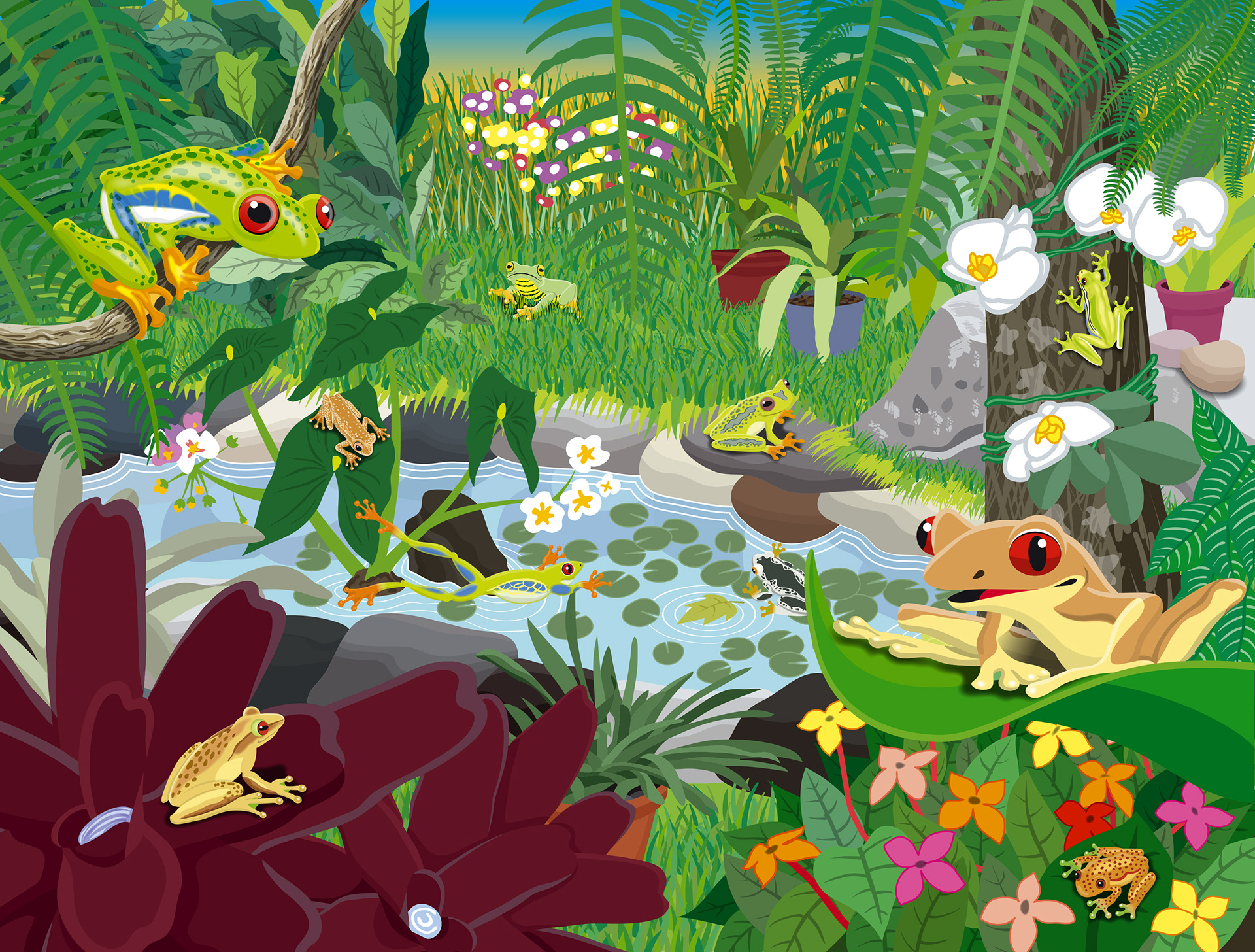 Internal Spread | Tree Frog