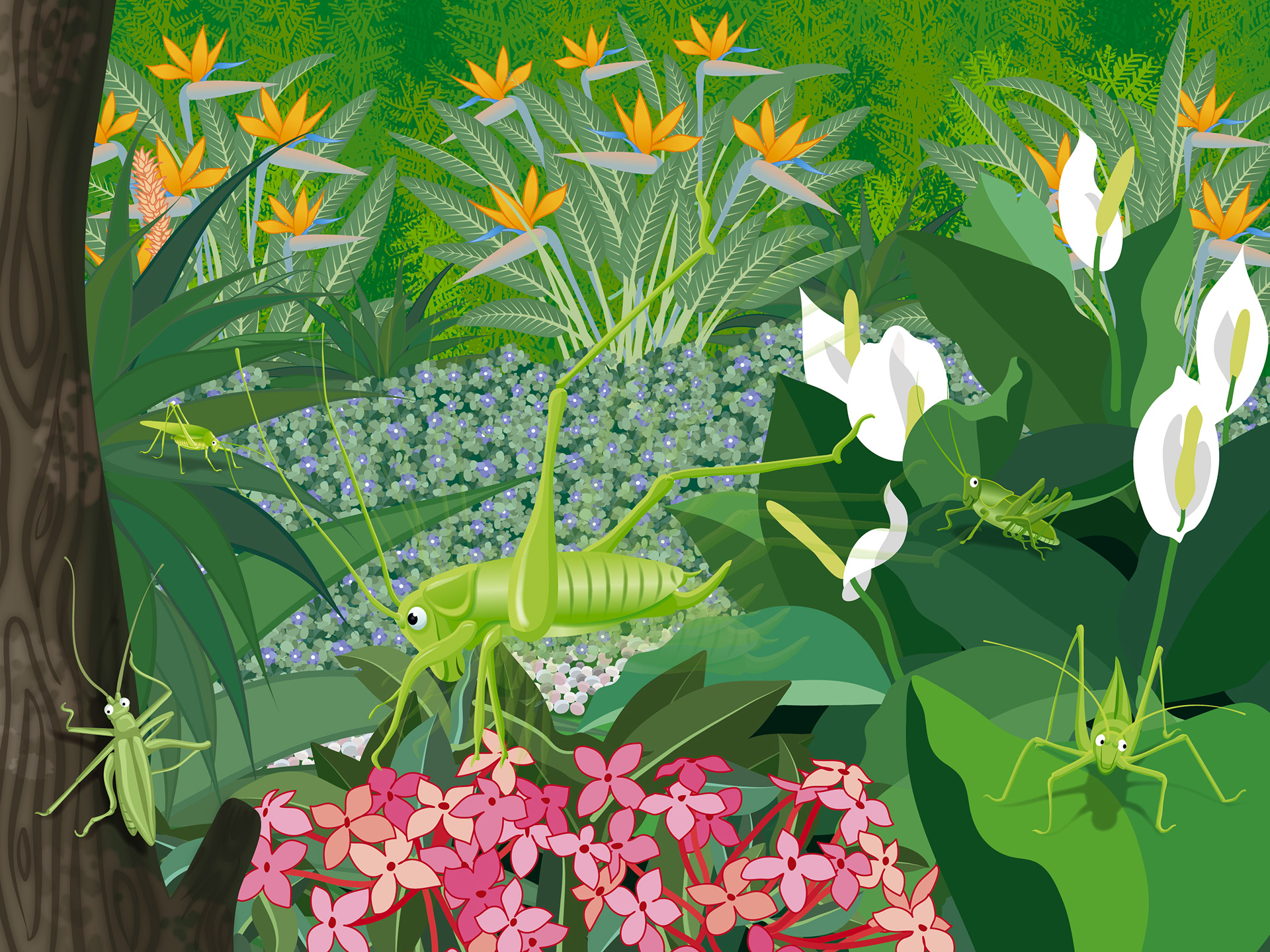 Internal Spread | Cricket