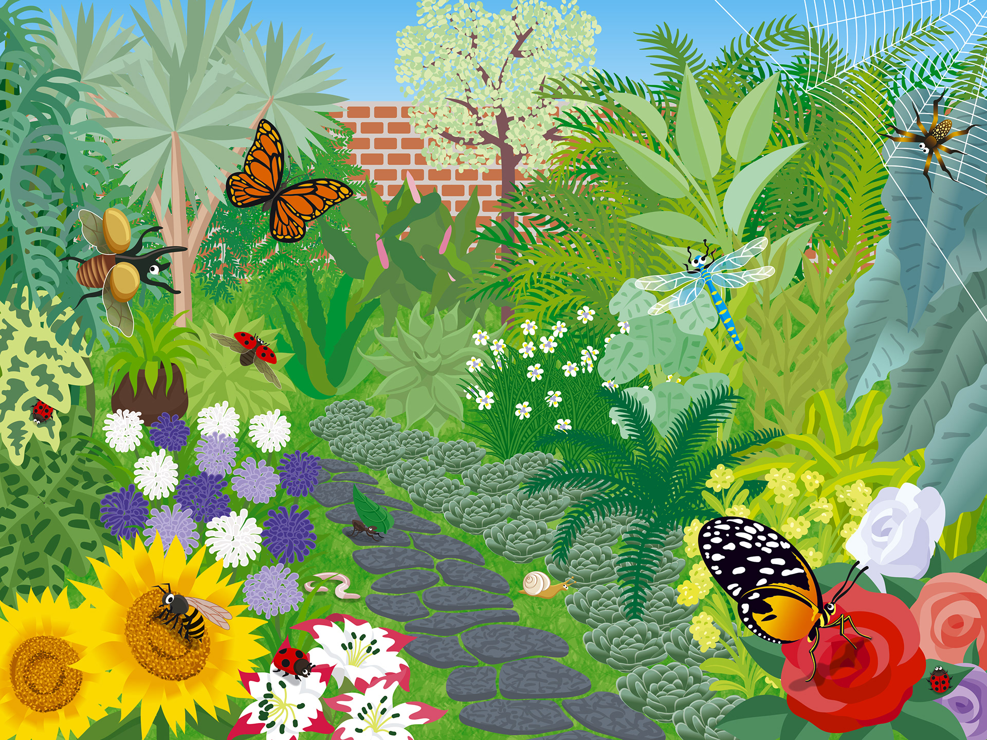 Internal Spread Ladybug