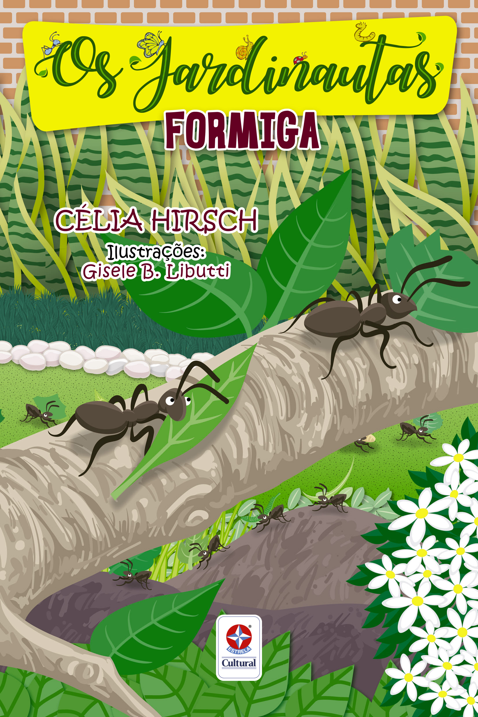 Book Cover | Ant