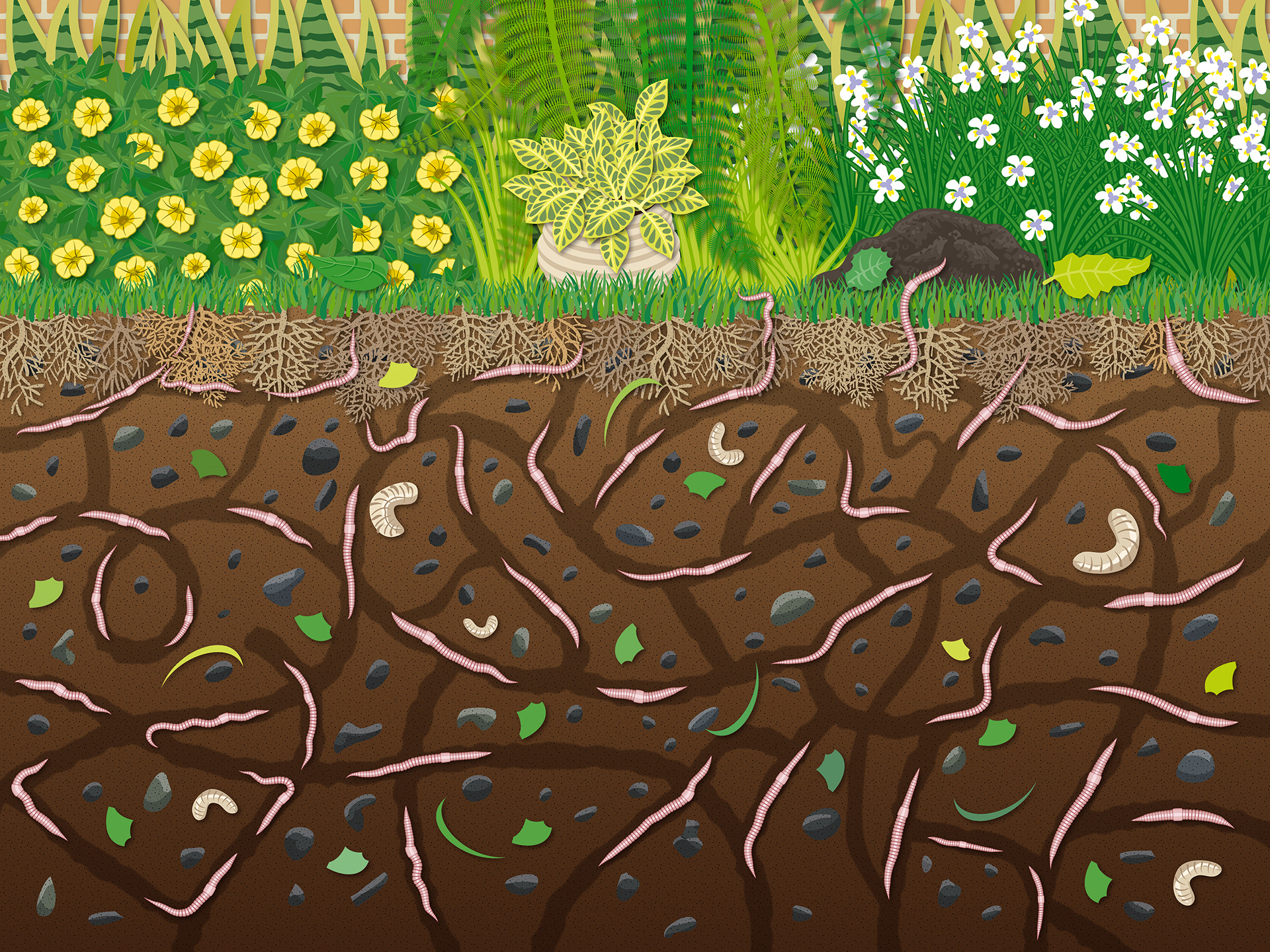 Internal Spread | Worm