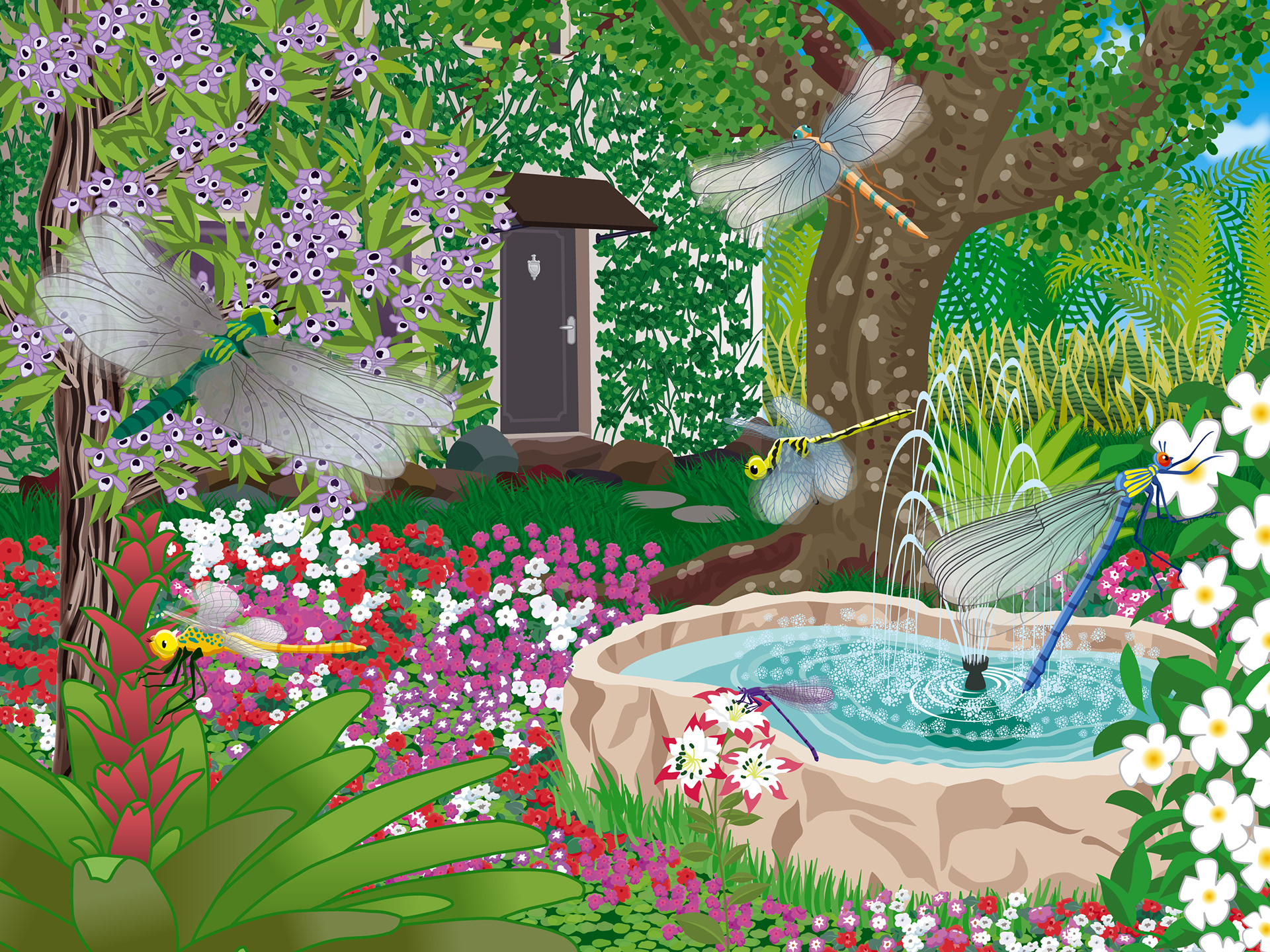 Internal Spread | Dragon Fly