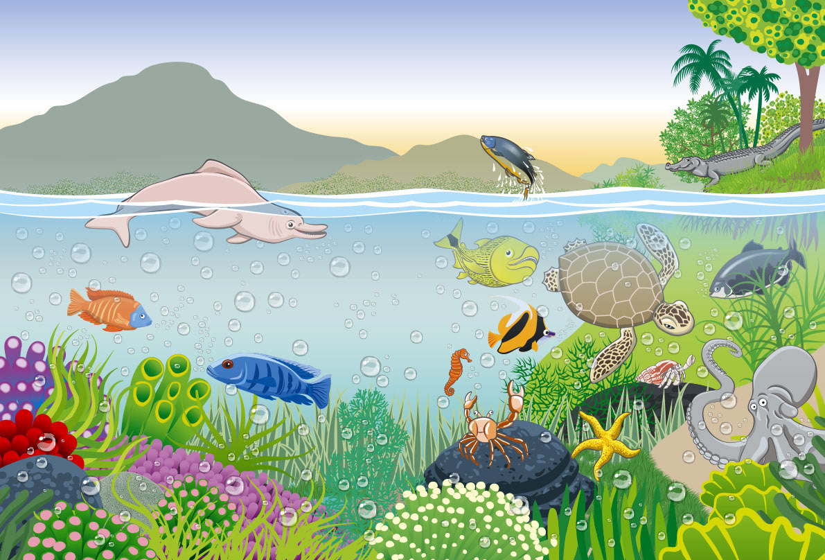 Illustration for the cover