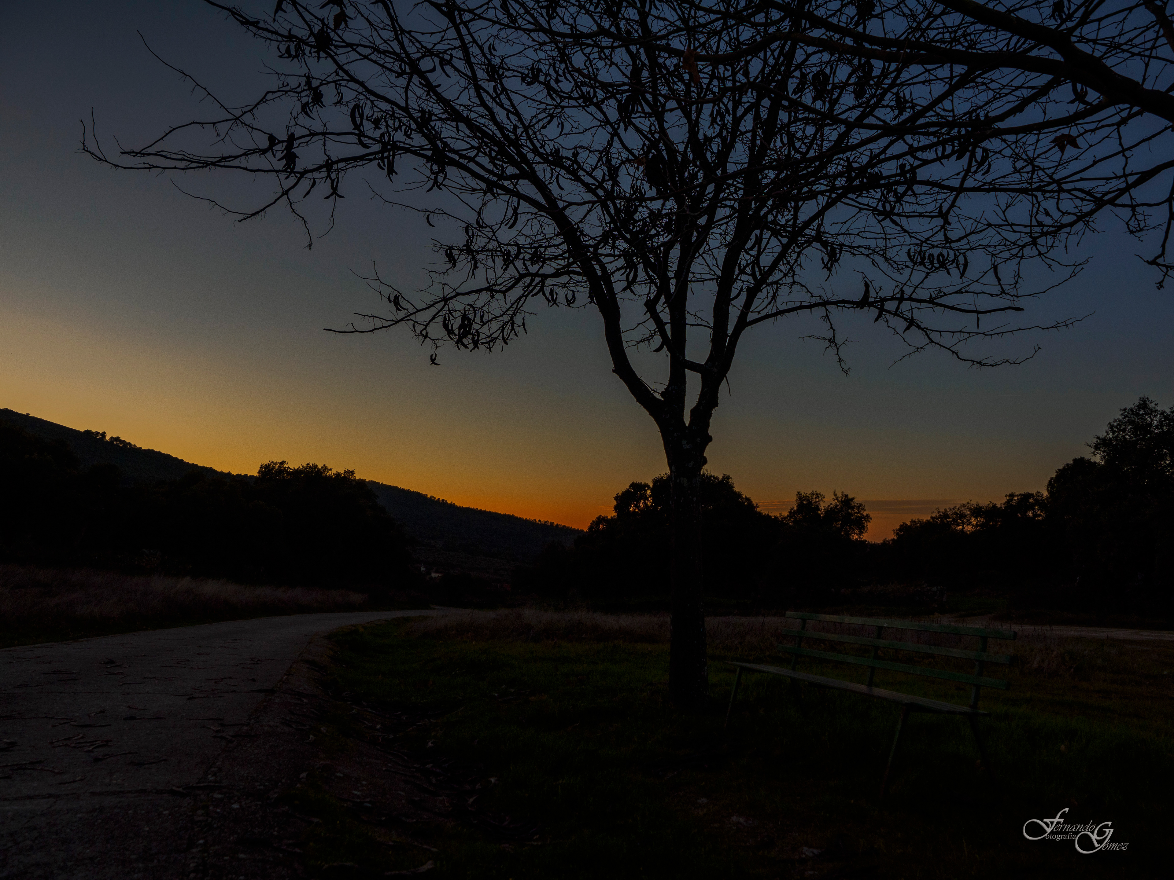 Atardeceres