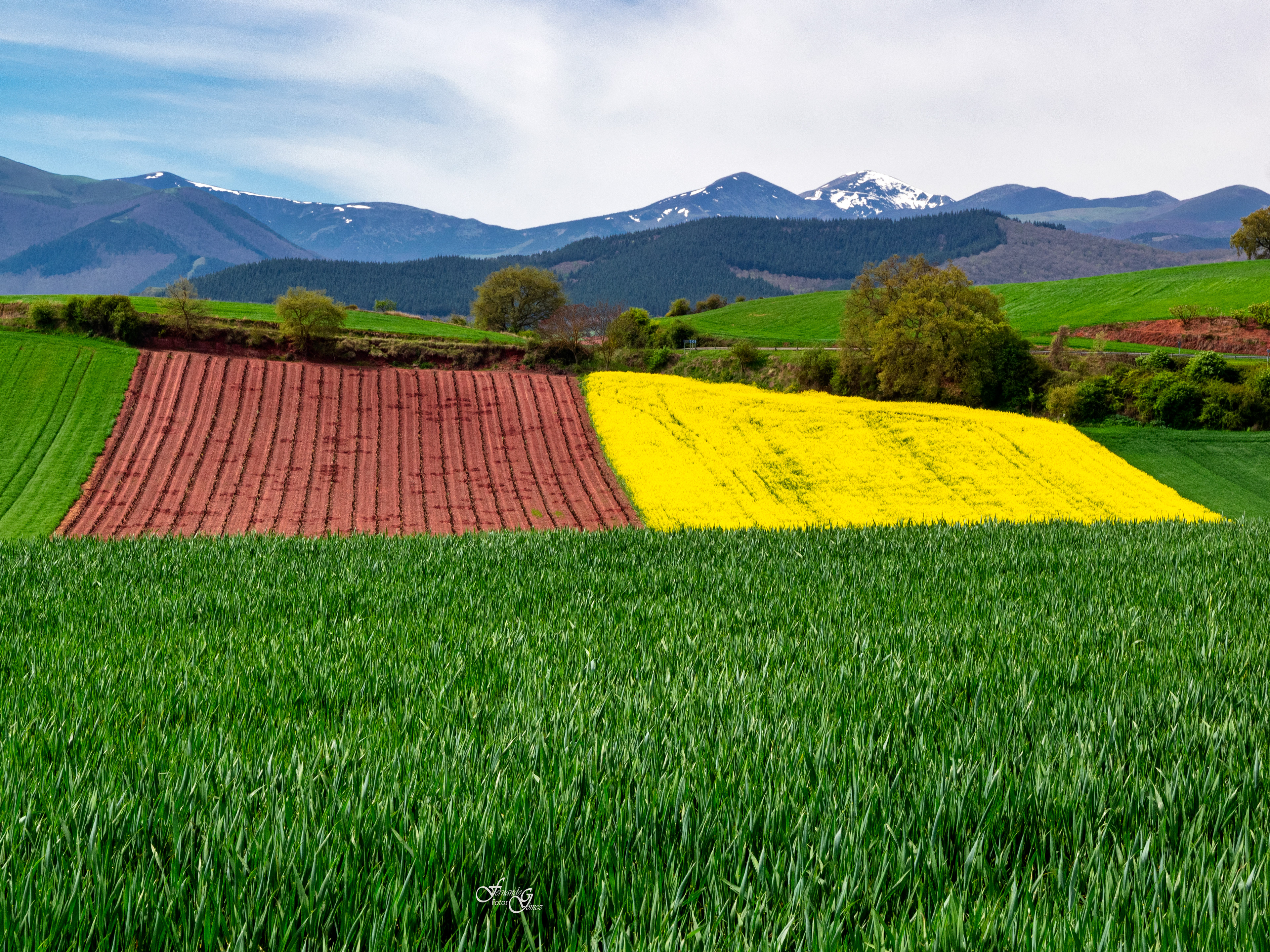Cereal, viñas, colza y montaña