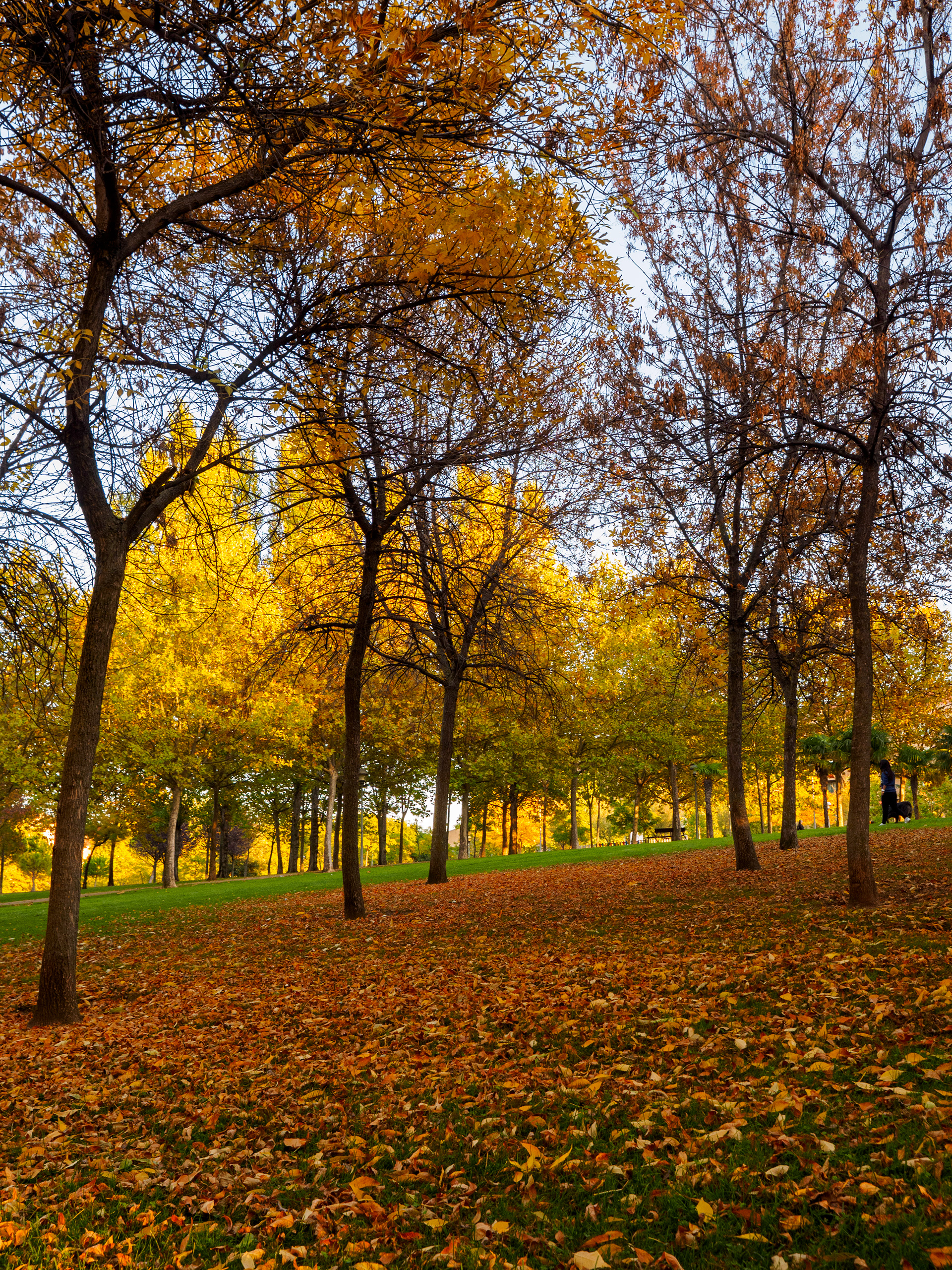 Otoño