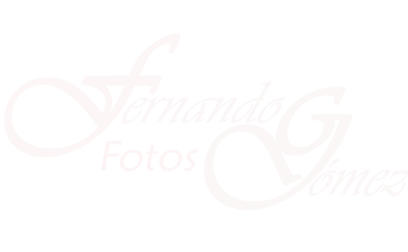 Fernando GG