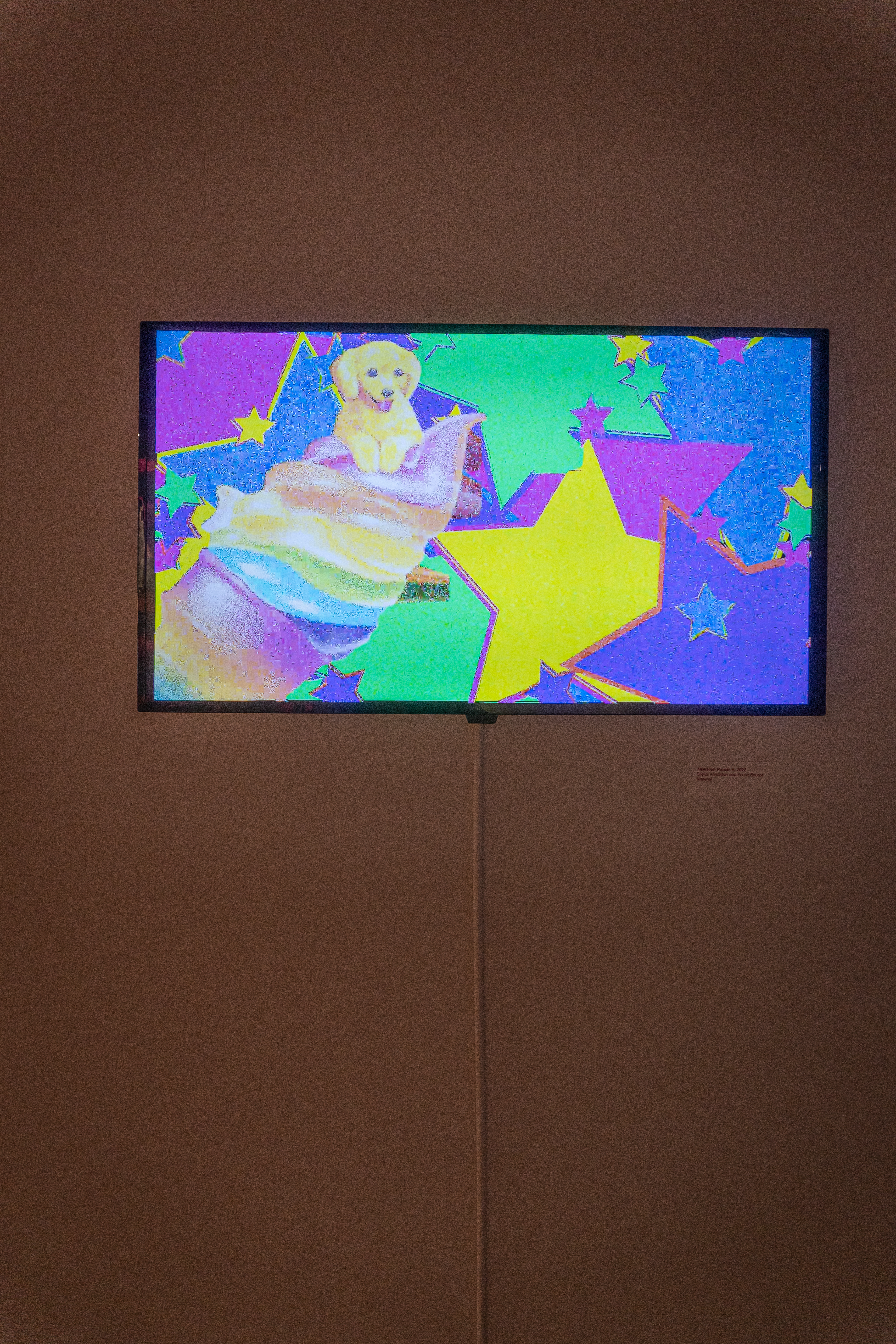 Piña Colada, 2022 Digital Animation and Found Source Material
