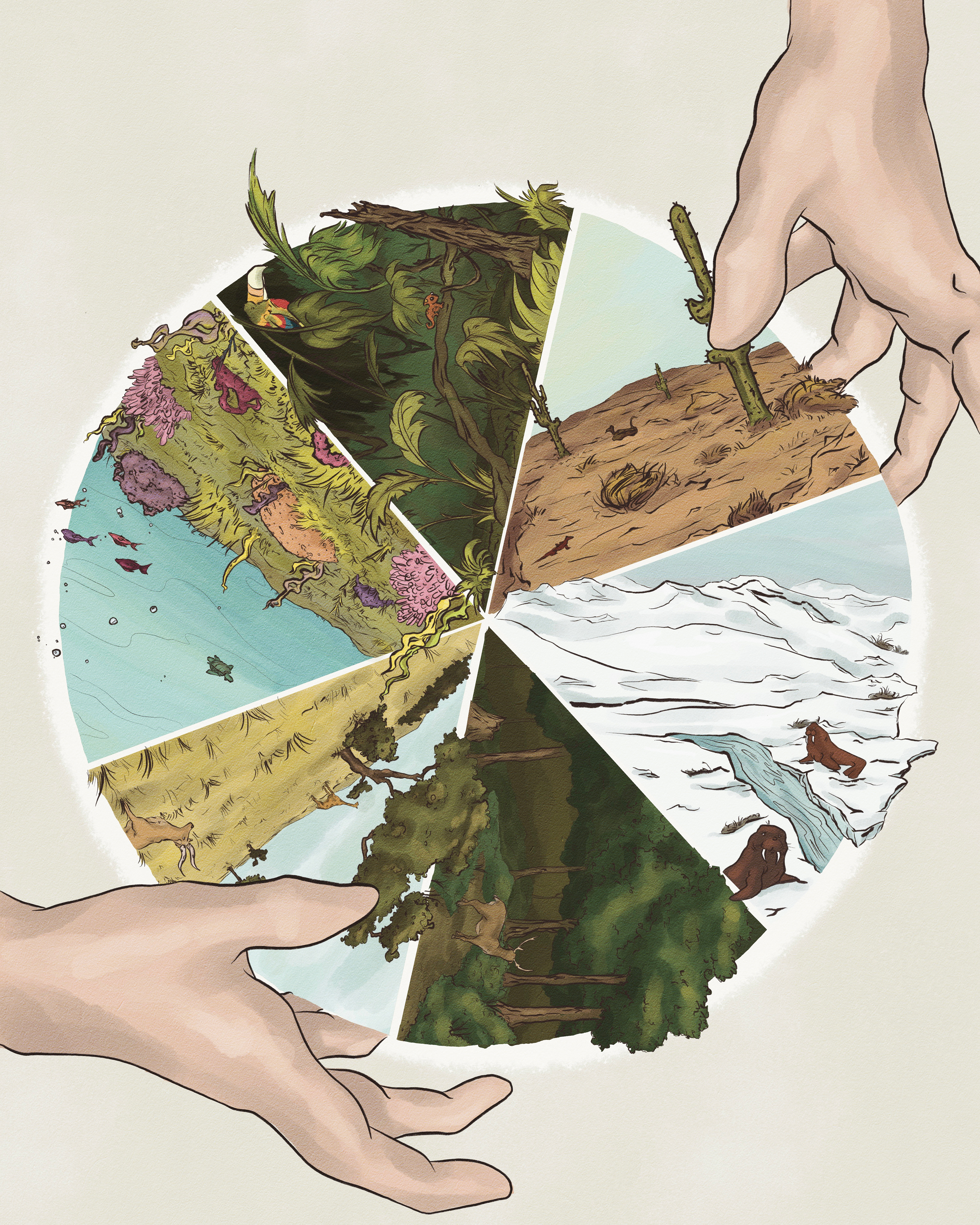 "Biomes" / Procreate on iPad