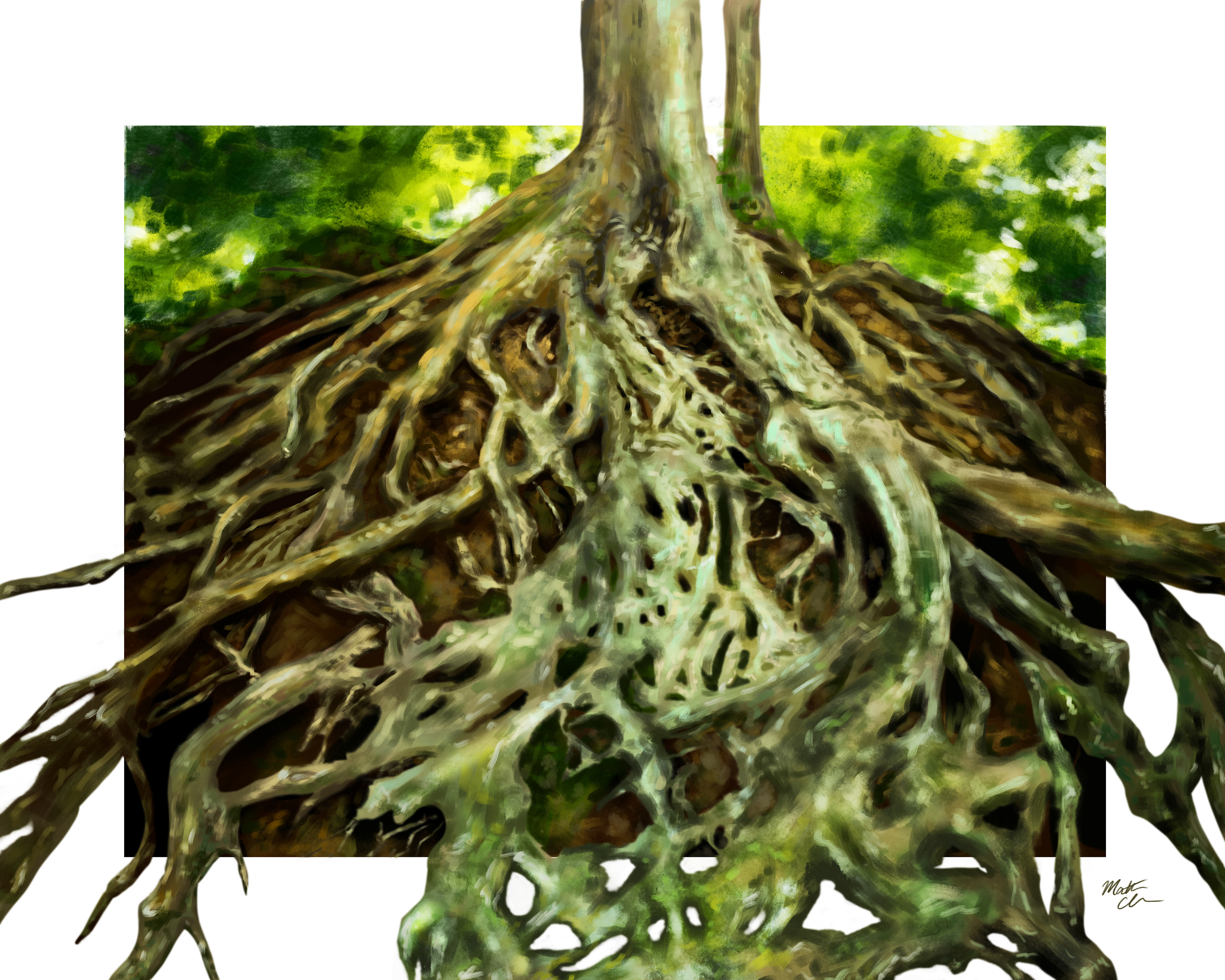 "The Medusa Tree" / Photoshop