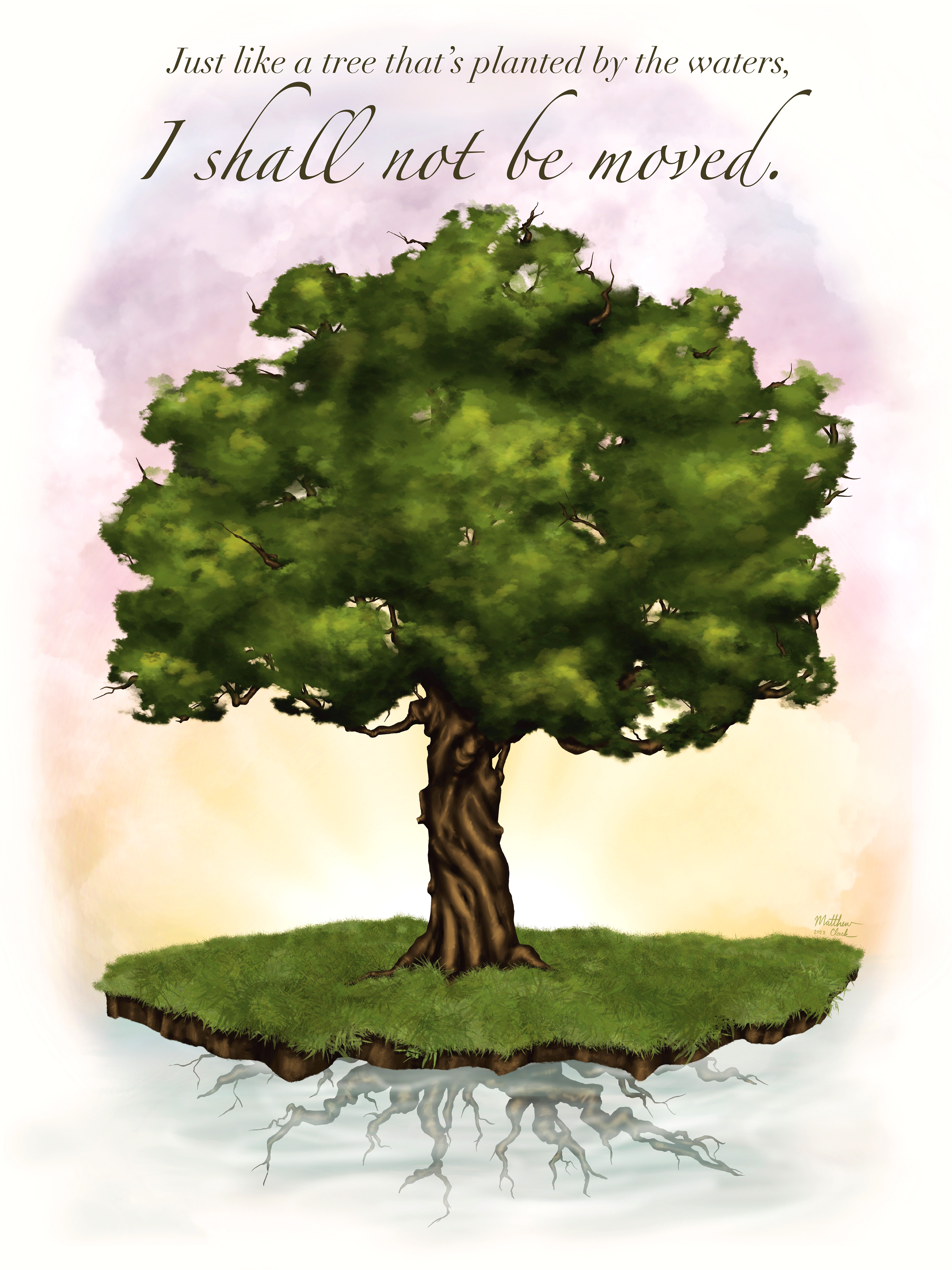 Illustration / Photoshop and Procreate