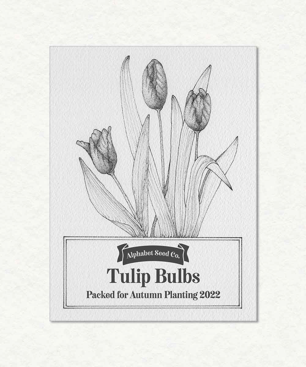 Tulip Bulb Packet Label